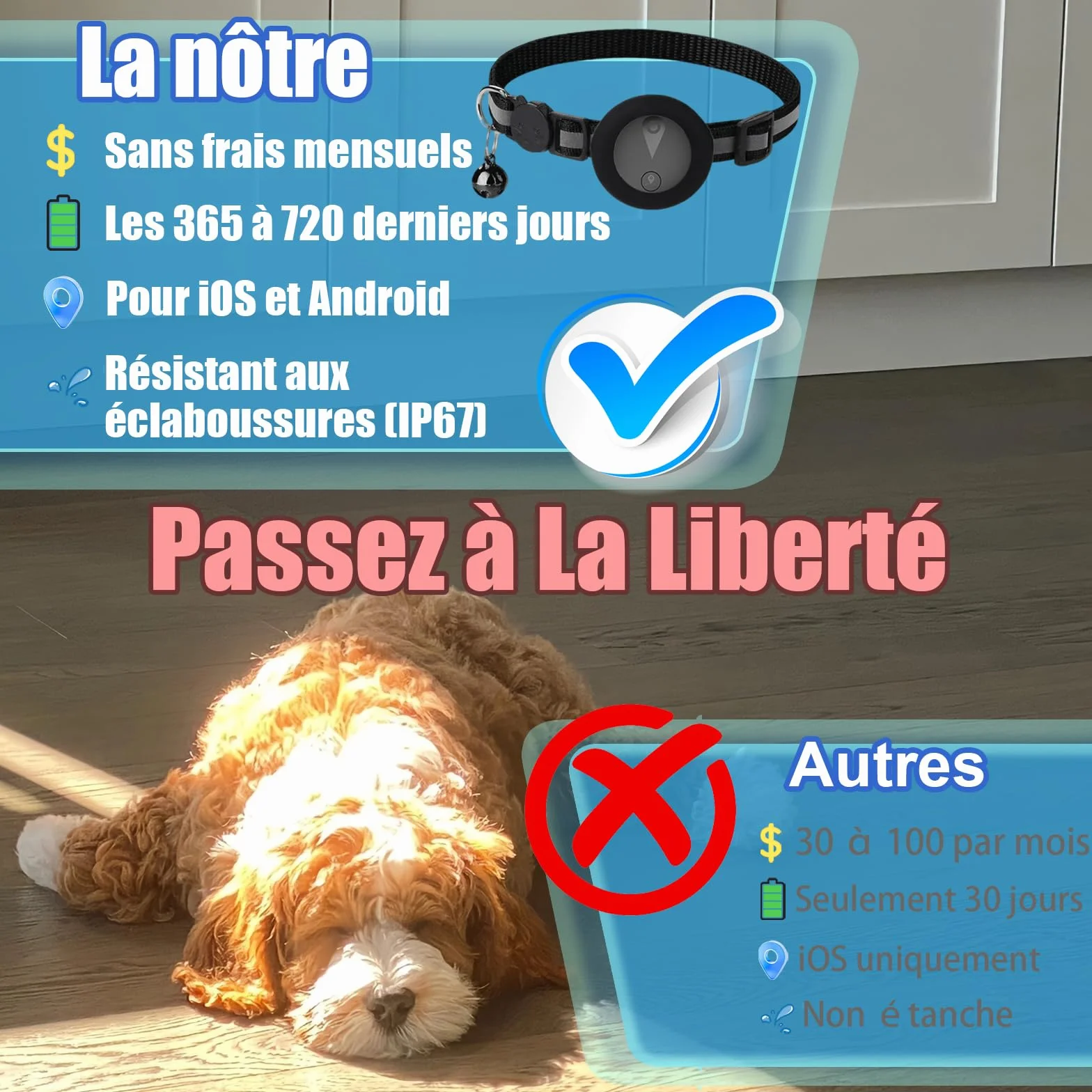 Collare GPS per Gatti Compatibile con Sistemi iOS e Android GPS per Cani Riproduzione Della Cronologia dei Tracciati (7 giorni) Localizzatore GPS Cani Tracciamento Impermeabile (IP67) -Nero Pieno