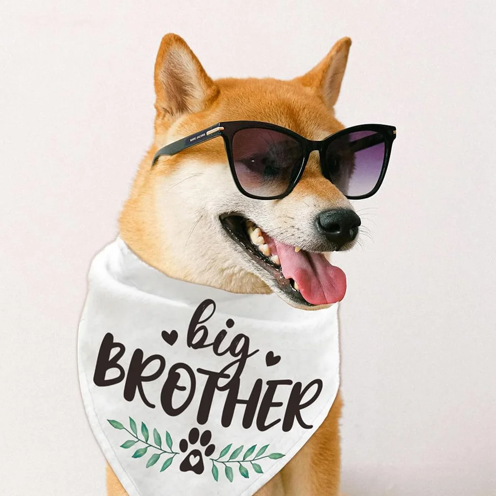 Bandana triangolare per animali domestici in cotone Big Brother