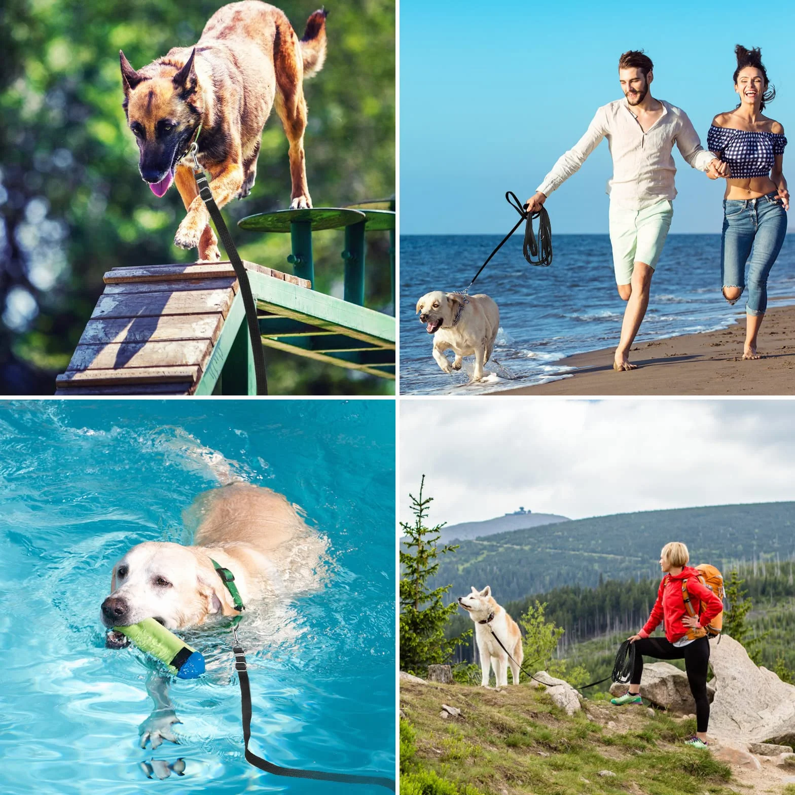 Guinzaglio per Cani, Lunghina per Cane 5 Metri, Guinzaglio Addestramento Regolabile con Impugnatura Imbottita, Ideale per Allenamento, Passeggiate e Attività Outdoor (Nero,5m/16ft)