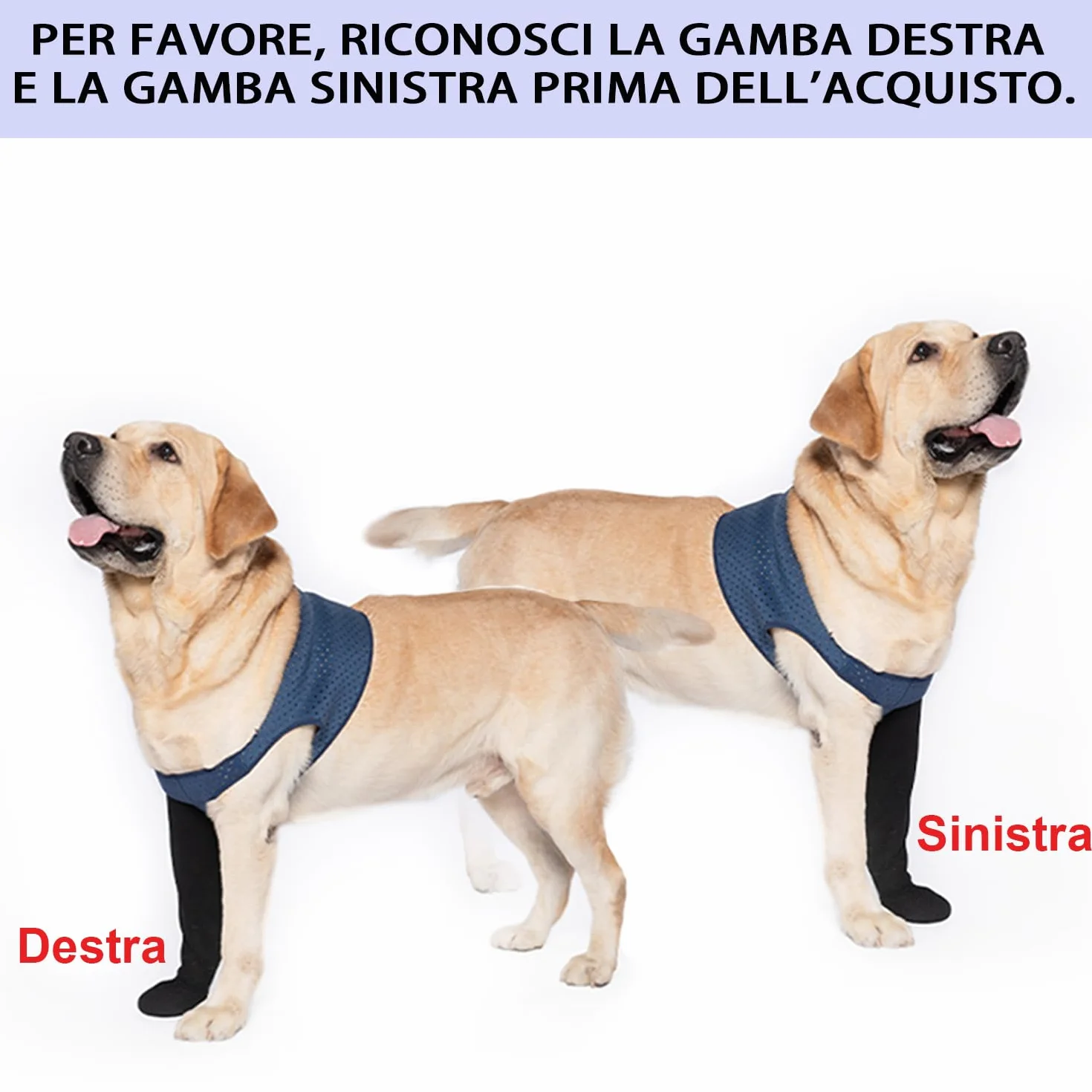COODEO Calzini Protettivi per Cani Antileccatura, Copri Zampe Antiscivolo Impermeabili (Blu, 3XL Sinistra)