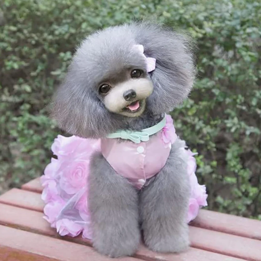 Cane Vestito di Lusso Cucciolo Gonna Vestiti per Cani Principessa Abiti da Sposa Abito da Sera Tutu Gonna Fiore Rosa Bowknot Vestito per Piccolo Cane