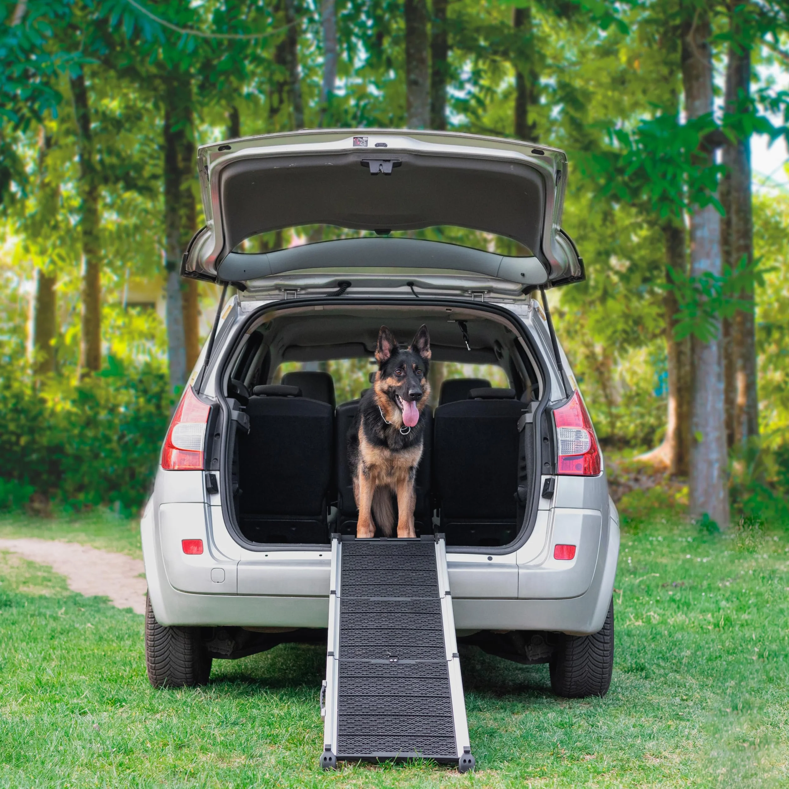 Rampa per Cani per Auto, SUV – Rampe Telescopiche Estensibili per Cani di Grossa Taglia – STABILI – ANTISCIVOLO – Sicurezza Notturna Lati Riflettenti – Capacità 90 kg – Clip di Bloccaggio – Nero