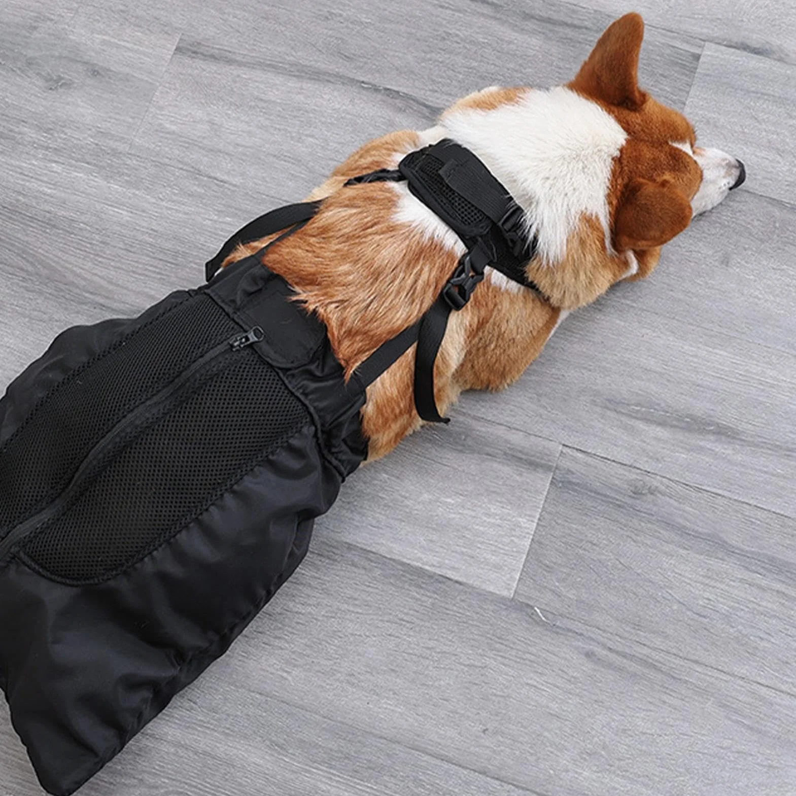 Borsa per Cani, Borsa per Recupero Alternativo della Sedia a rotelle, per Gambe Posteriori e Posteriori, Traspirante, Regolabile, Protettiva, per Proprietari di Animali Domestici, Cani feriti