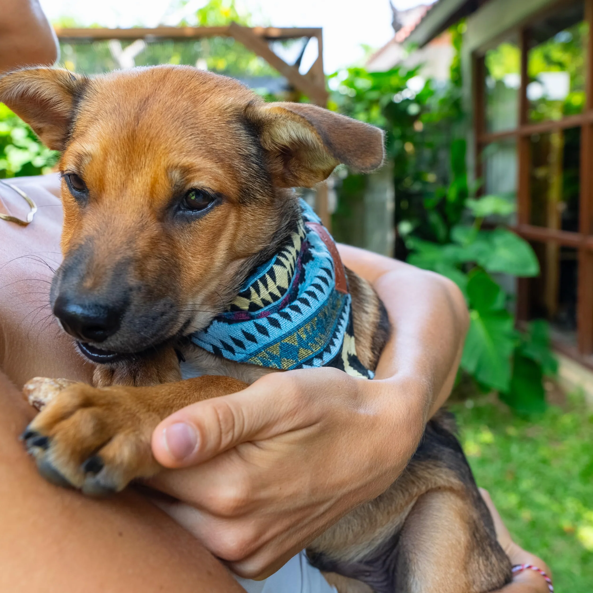 Nami Foulard per cani Boho varie dimensioni Blu M