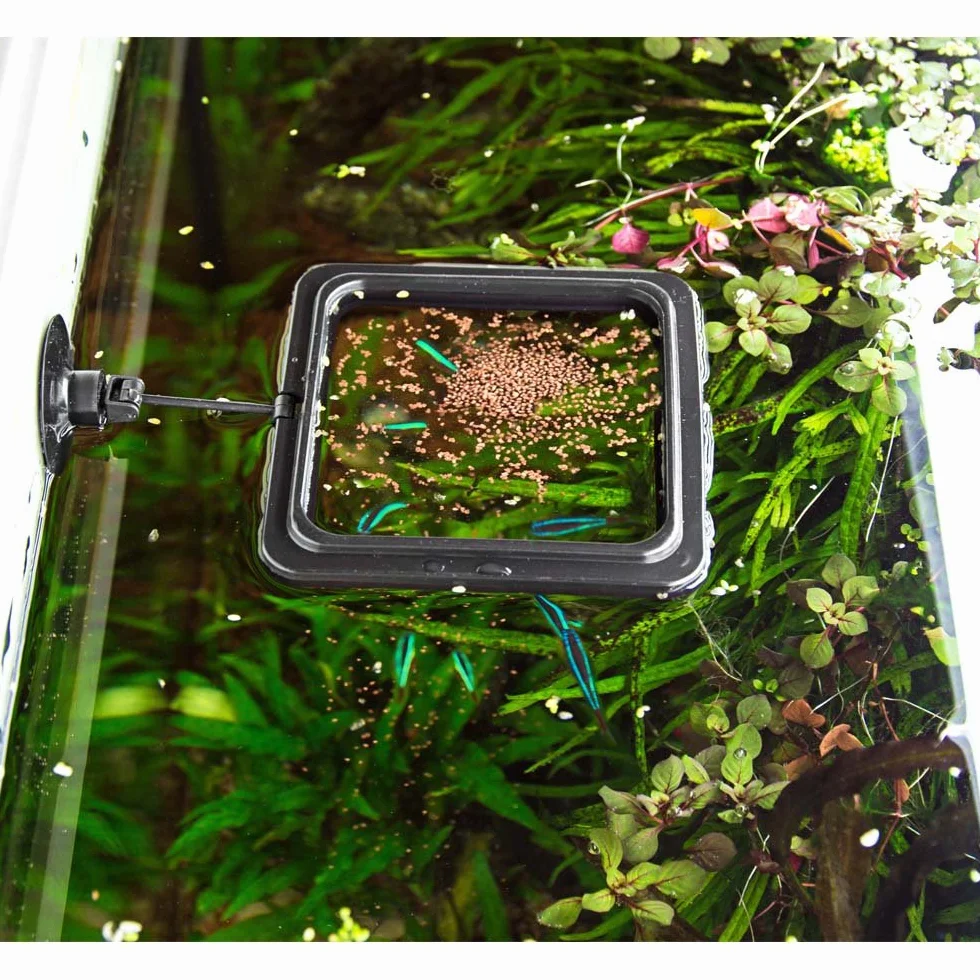 Hobby 61304 Feeding Station 2, rettangolare, 10 x 10 cm