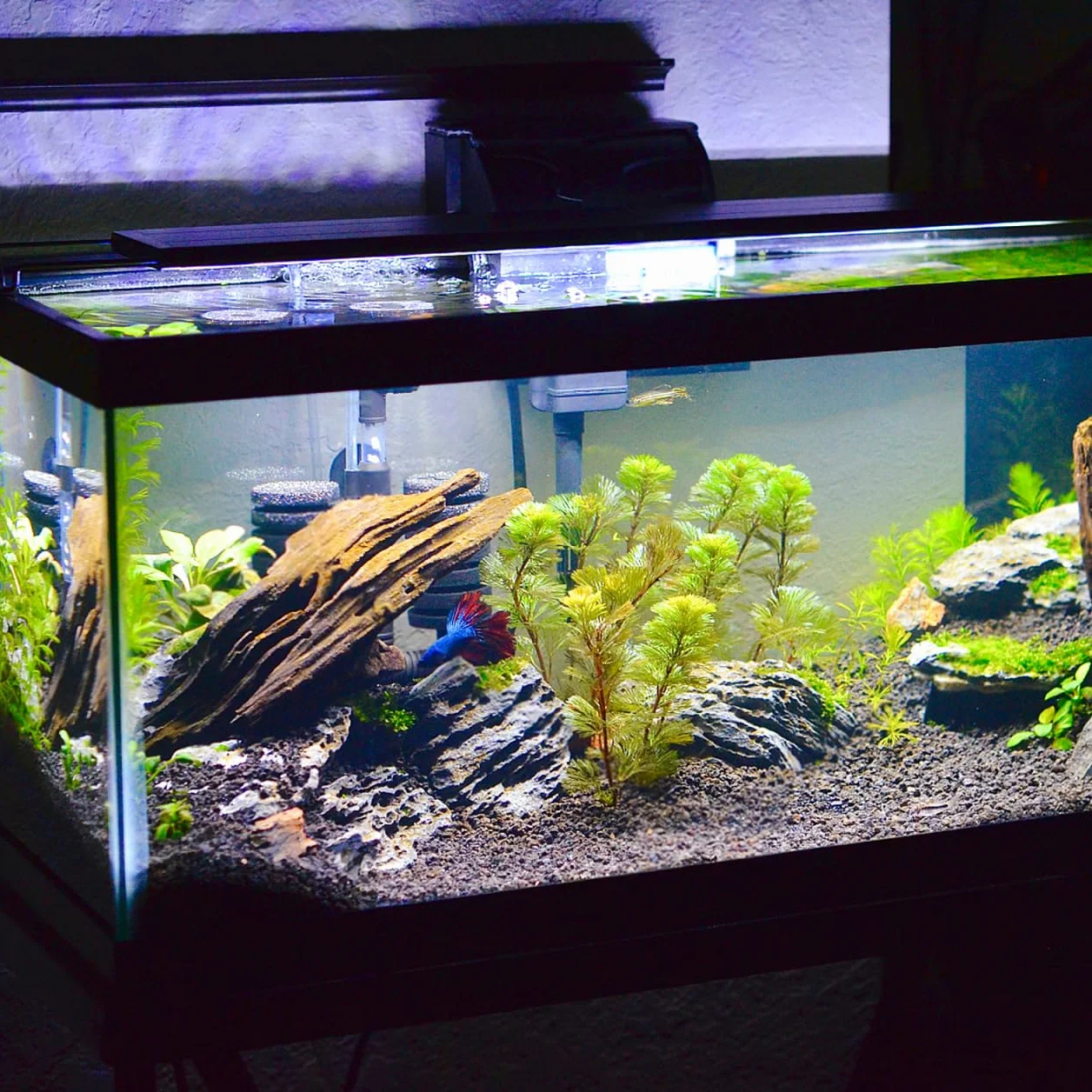 Garneck Tappetino per acquario 40 x 30 cm – ispessito – Tappetino in schiuma antiscivolo per un livellamento ottimale e una protezione del piano del tavolo – Accessori impermeabili per acquari