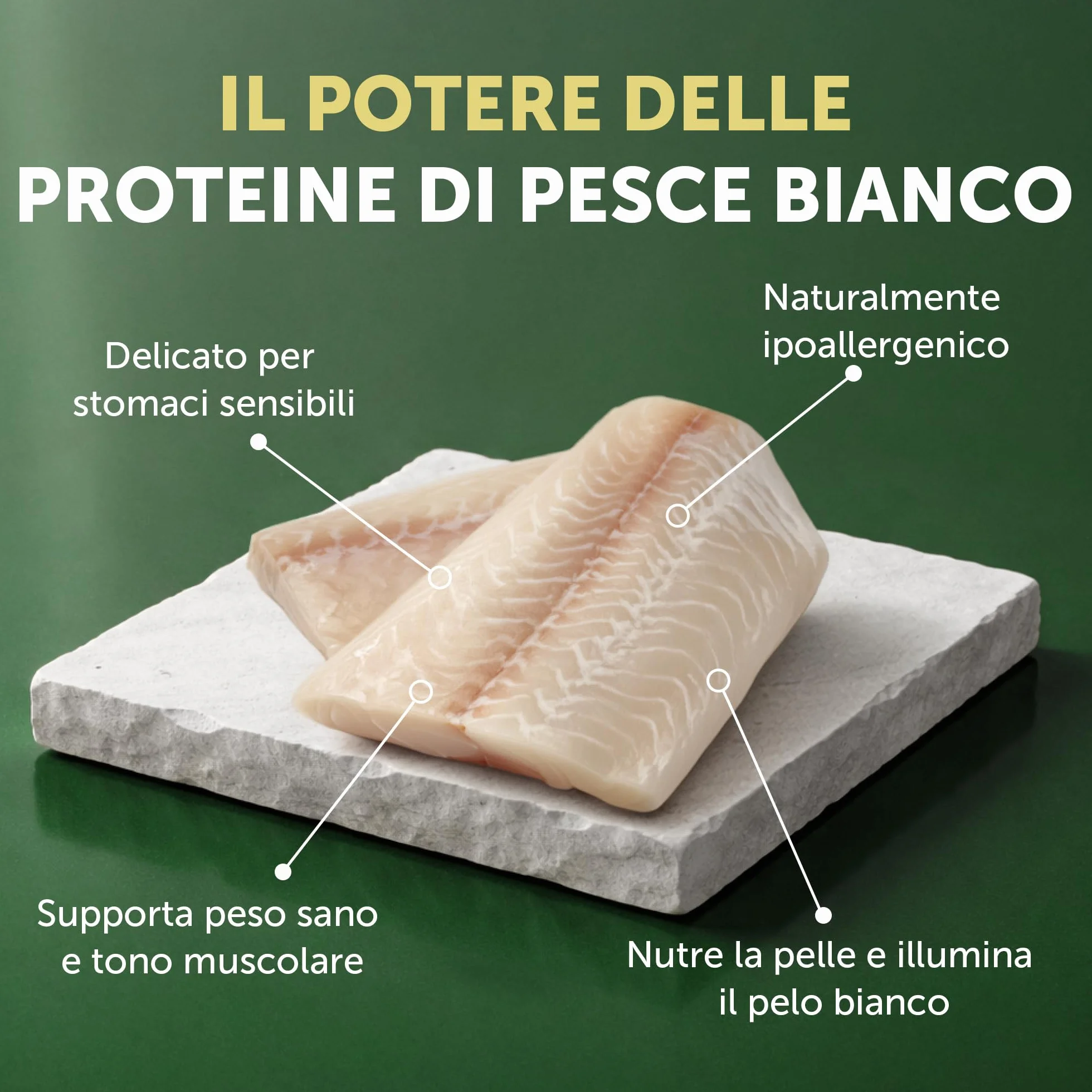 Nature's Protection Superior Care Cibo Secco Ipoallergenico Senza Cereali per Cani Adulti Razze Piccole e Mini 1,5 kg