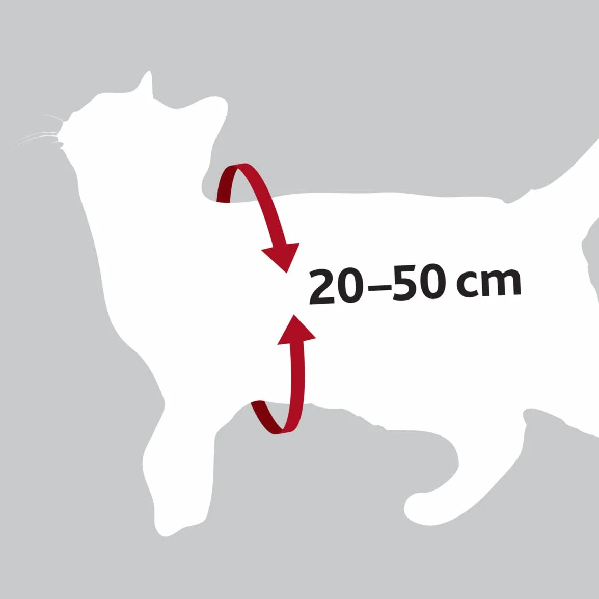 Trixie Imbracatura e Cintura di Sicurezza per Gatti, 20 – 50 cm, Rosso