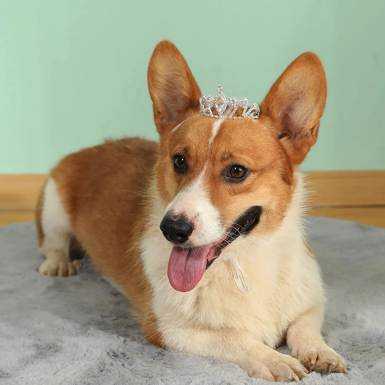 Lovelyshop - Tiara per cani e gatti, con cristalli e strass, accessorio per capelli
