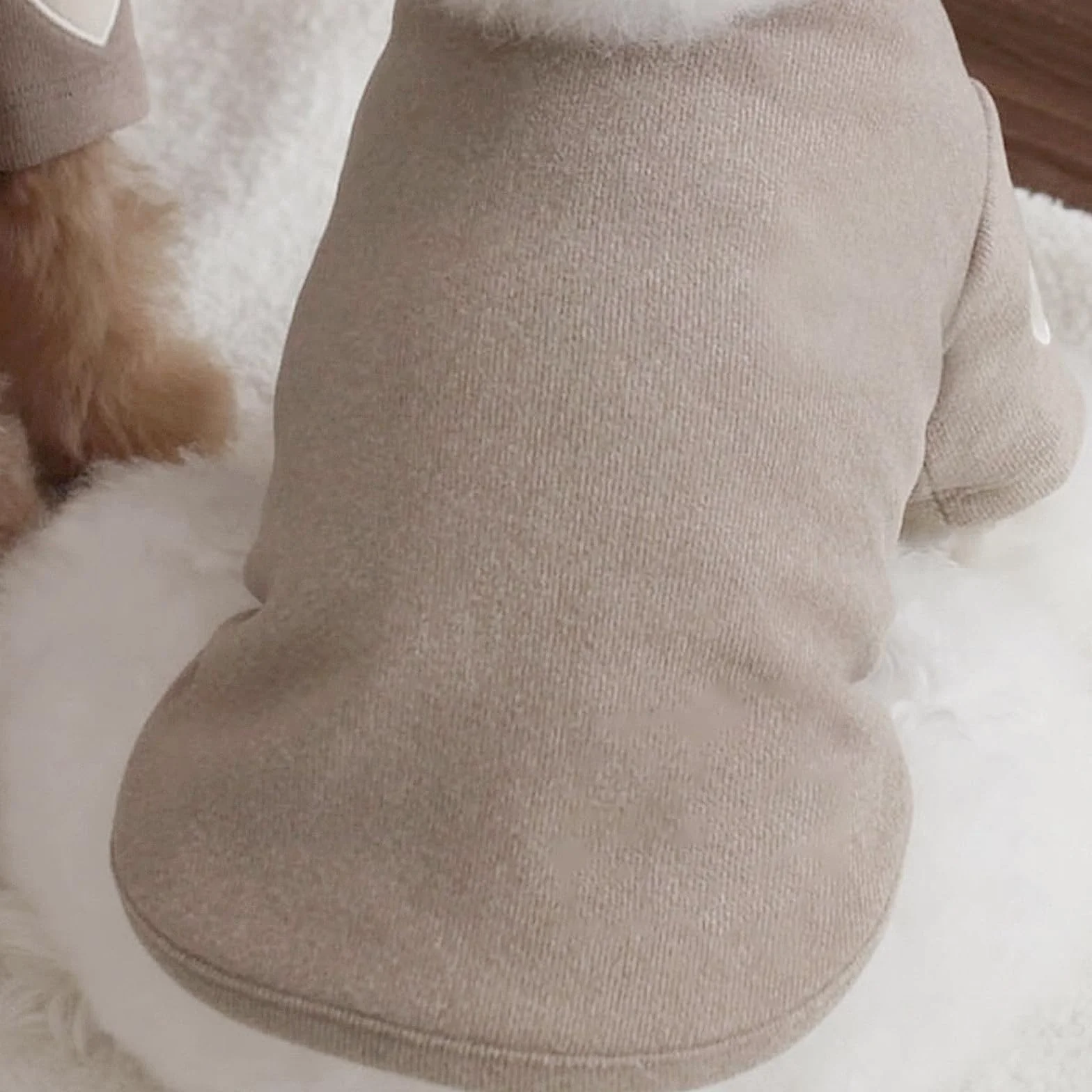 Felpa per cani taglia piccola e media calda con stampa cuore per gatti cuccioli chihuahua schnauzer caffè L
