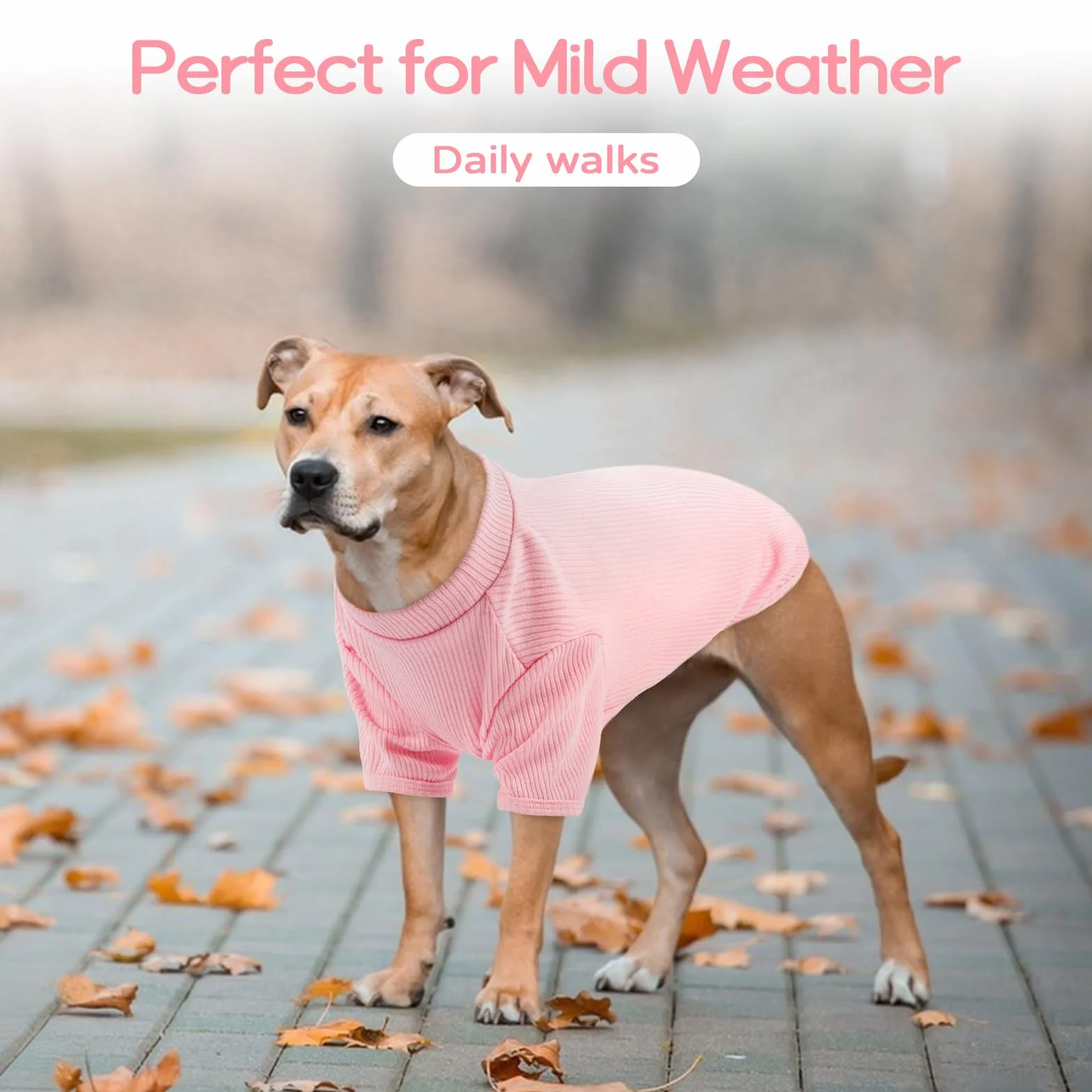 Leggero Pullover Per Cani In Maglia A Costine T-Shirt Per Bulldog Francese Beagle Rosa Fiorita