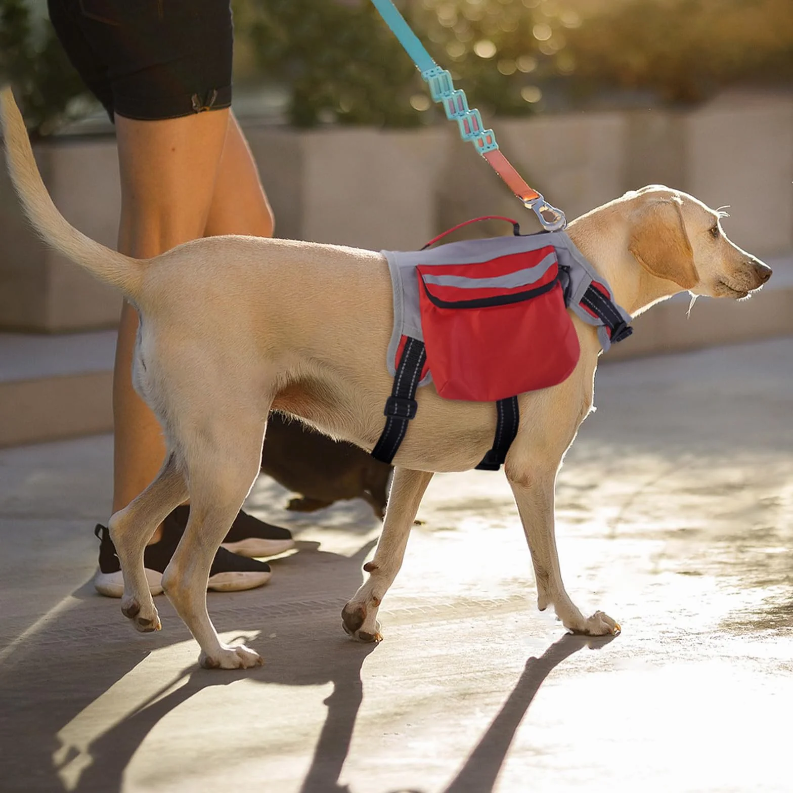 DENTRUN Zaino per cani con tasca laterale e tracolla regolabile, perfetto per viaggi con cani, escursioni e uso quotidiano