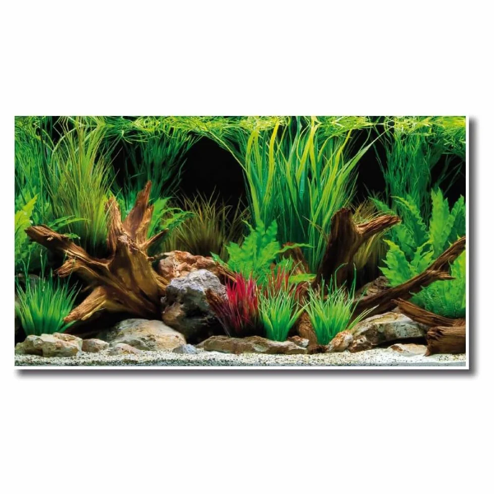 AMTRA WONDER - Sfondo in poster per acquario, decorazione dell'acquario, poster decorativo con doppia stampa, formato 30x60cm