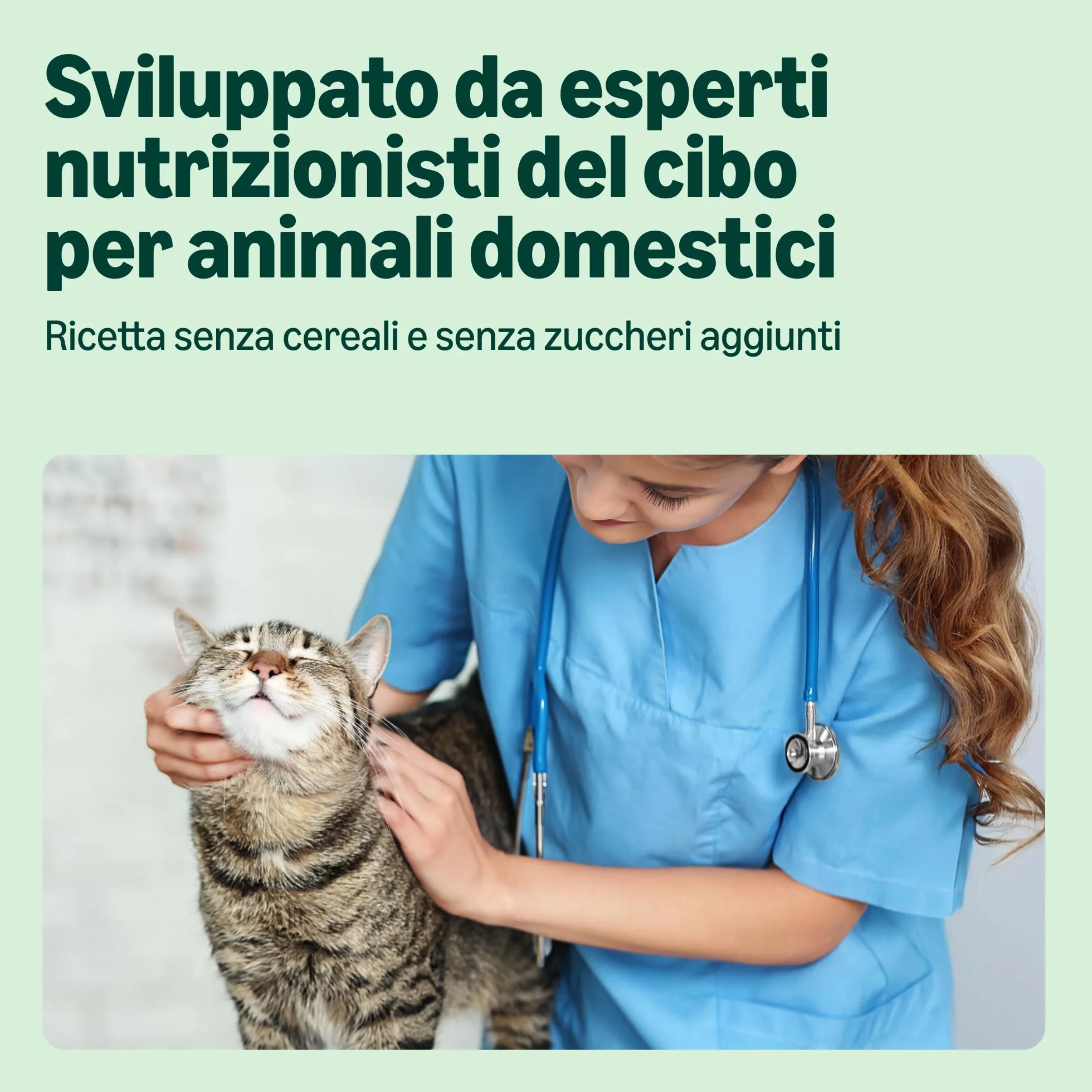 by Amazon Cibo umido per gatti senza cereali, in barattolo, paté di manzo, 12 x 400 g