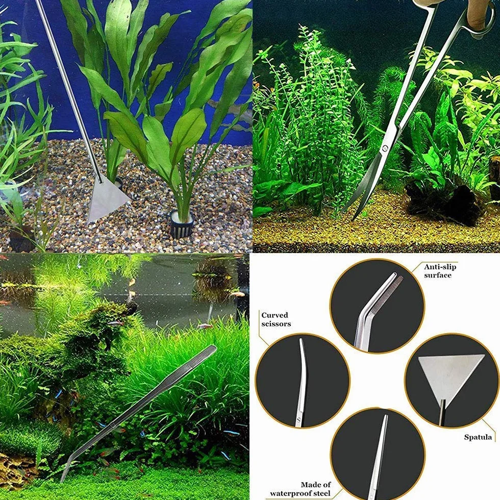 Signstek 5 in 1 Acciaio Inox Pinzette Forbici Spatola Attrezzo Acquario Starter Kit