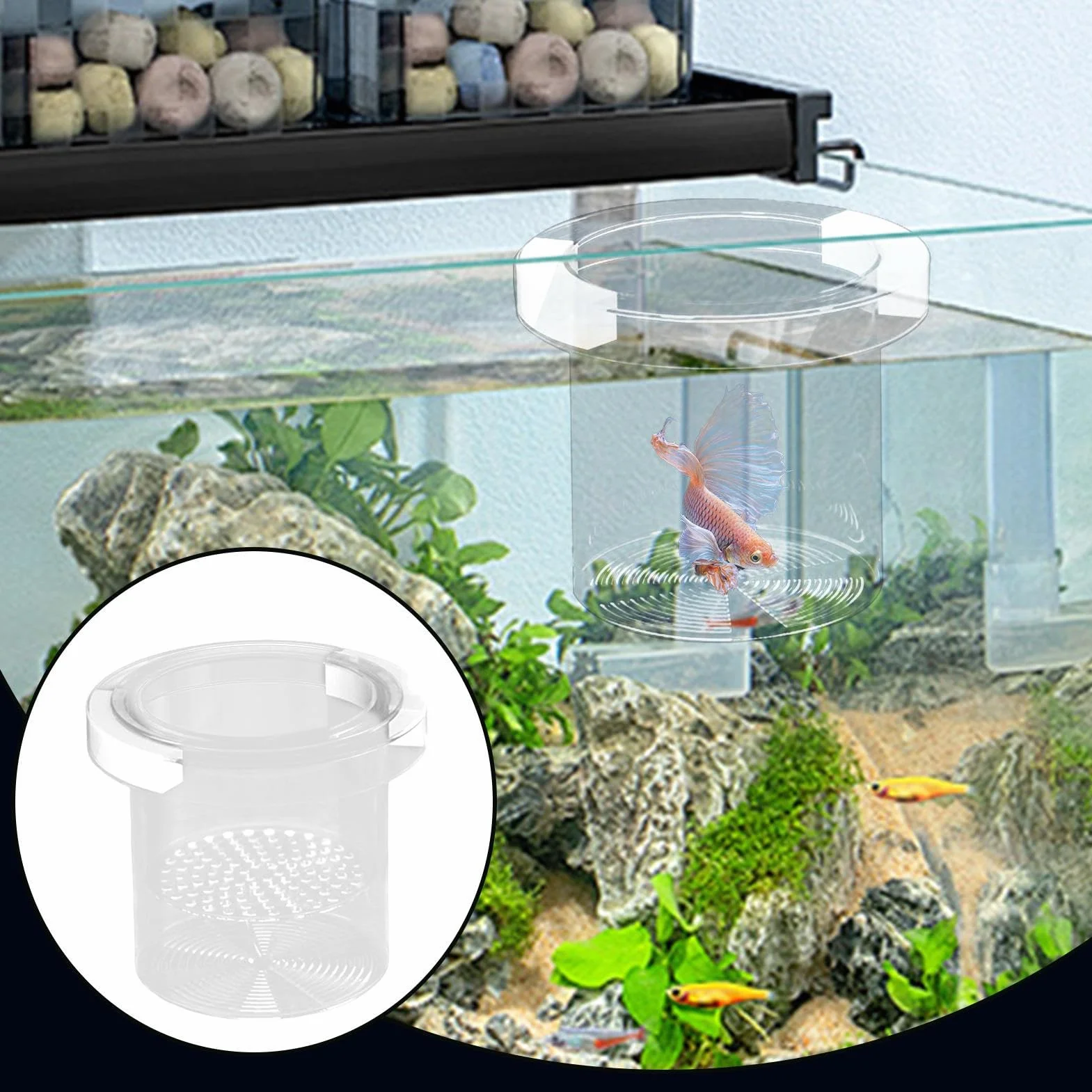 Scatola per allevamento di pesci per acquario, separatore di pesci per acquario, divisore sicuro per vivaio di acclimatazione Guppy gamberetti Betta Fry Hatchery