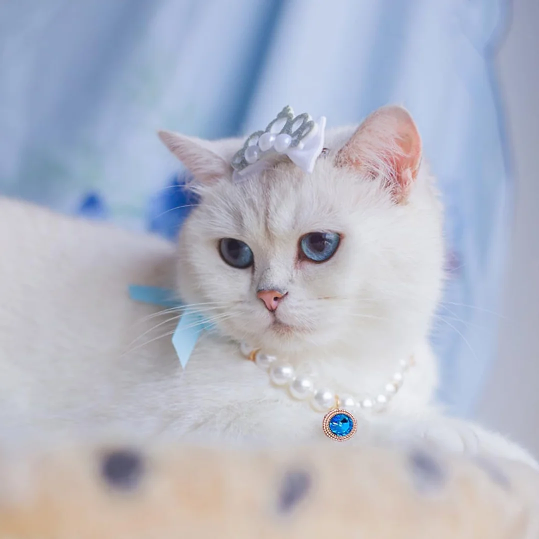 Collana per Cani Piccola Taglia Gatti Regolabile Perle Fantasia Gioielli Bling Strass Collare Papillon Chihuahua