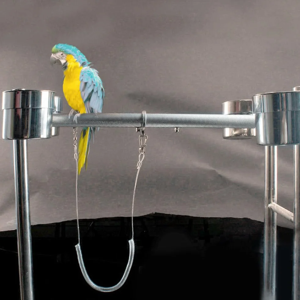 Cavigliera per Uccelli da Compagnia, Catena per Pappagalli Pettorina per Uccelli Pappagallo Ultraleggera Guinzaglio Anti-morso Volo All'aperto Corda da Addestramento Forniture per Animali