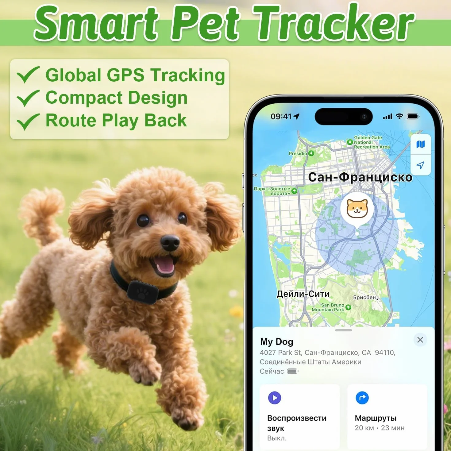 Localizzatore GPS per Gatti e Cani con Collare, Tracker Senza Abbonamento, Compatibile iOS e Android, Collare Regolabile Impermeabile Anti Smarrimento per Animali