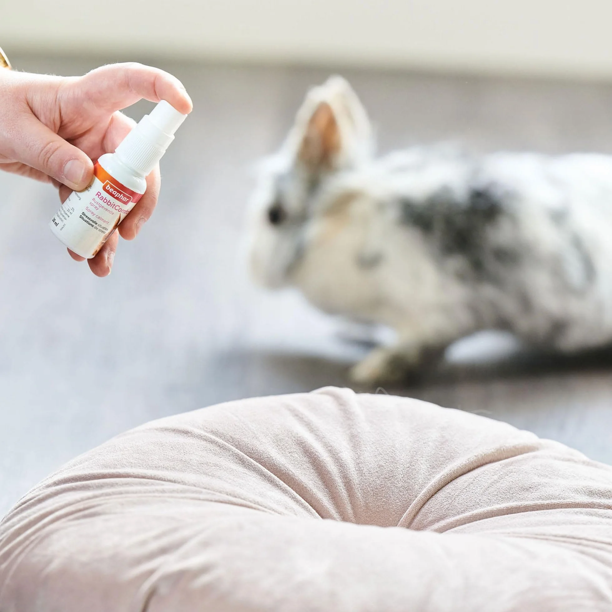 Beaphar - RabbitComfort® Spray calmante - Riduce l'ansia e lo stress in aree mirate - Per l'uso in casa o in gabbie - Azione rapida - Inizia a lavorare in 15 minuti - 30ml