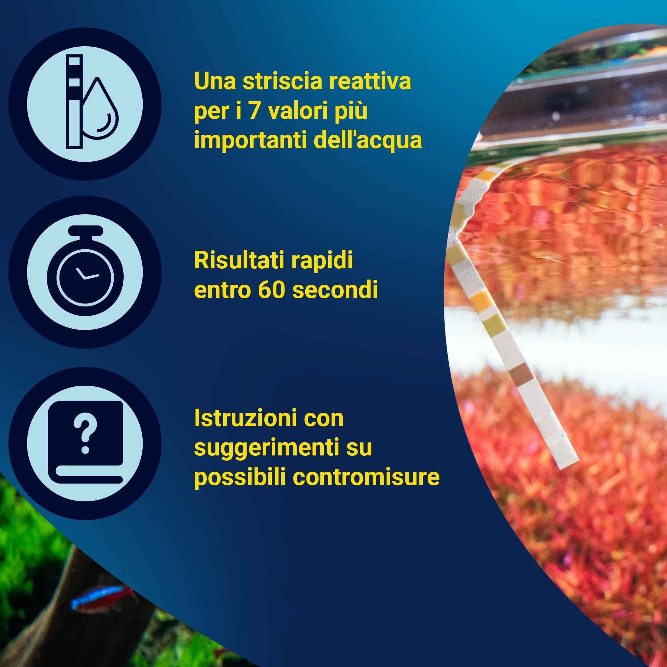 Tetra Test 7in1 - Test dell'acqua per acquari, 50 strisce reattive