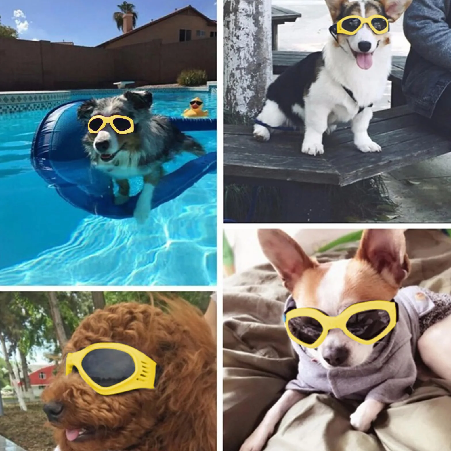 Occhiali per Cani Taglia Piccola, Pieghevole Occhiali da Sole per Cani e Gatti, Protezione UV, Regolabile, con Collari per Pet, Giallo