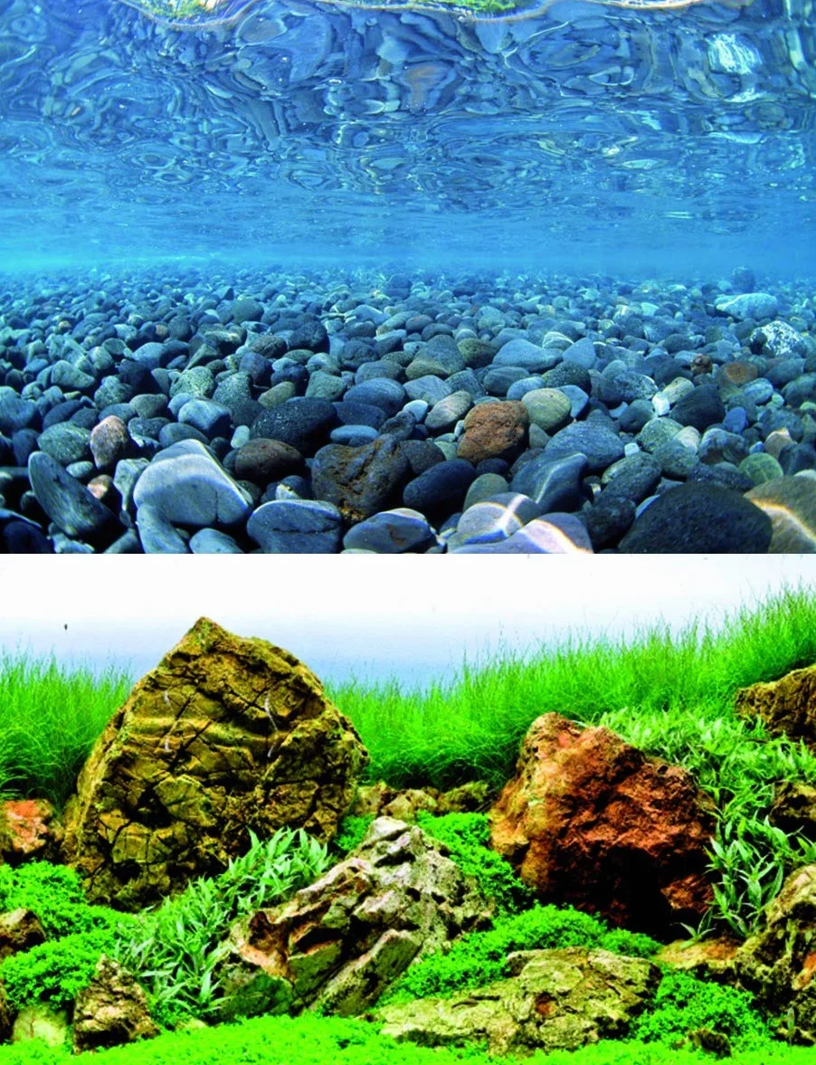 AMTRA VISION, sfondo in poster per acquario, decorazione dell'acquario, poster decorativo con doppia stampa, formato 45x100cm