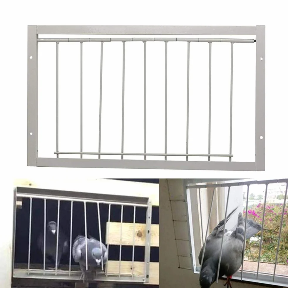 26 cm (alto) 60 cm (lungo) T-Trappola per piccioni uccelli casa porta piccione uccelli casa porta piccione coop in vendita gabbie per uccelli gabbia per piccioni fornitore