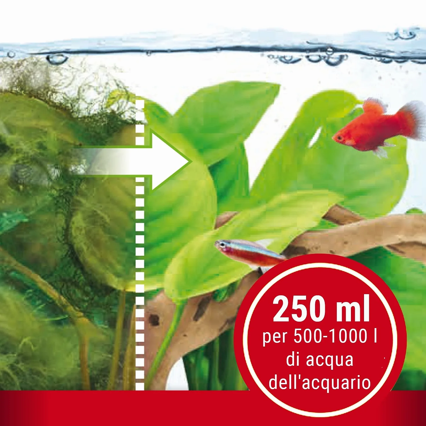 Tetra AlguMin 250 ml antialghe