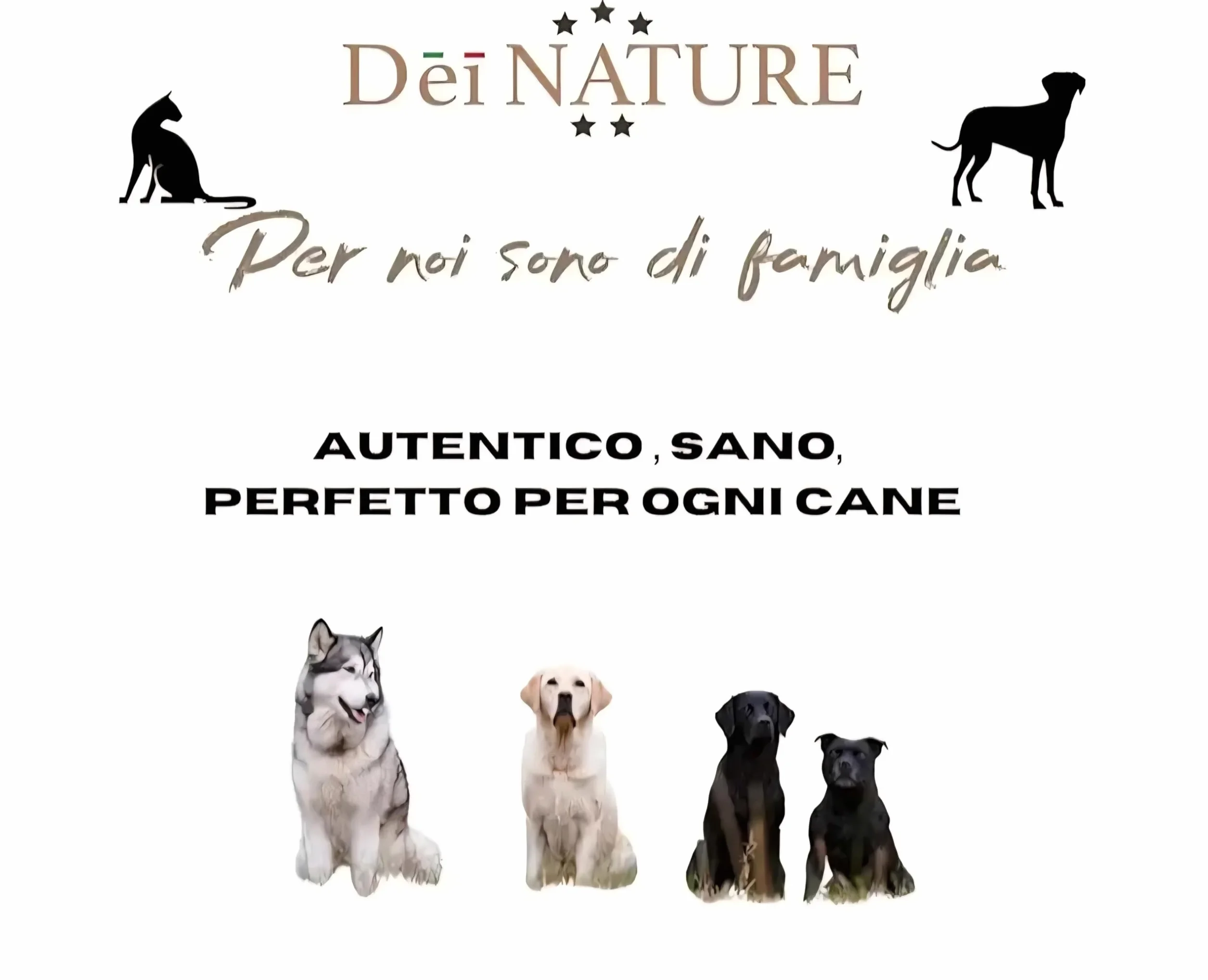 Legno di Ulivo per Cani, Masticativo Naturale, 2 UNITA' Taglia S,Bastoncino Antitartaro per Pulizia Denti