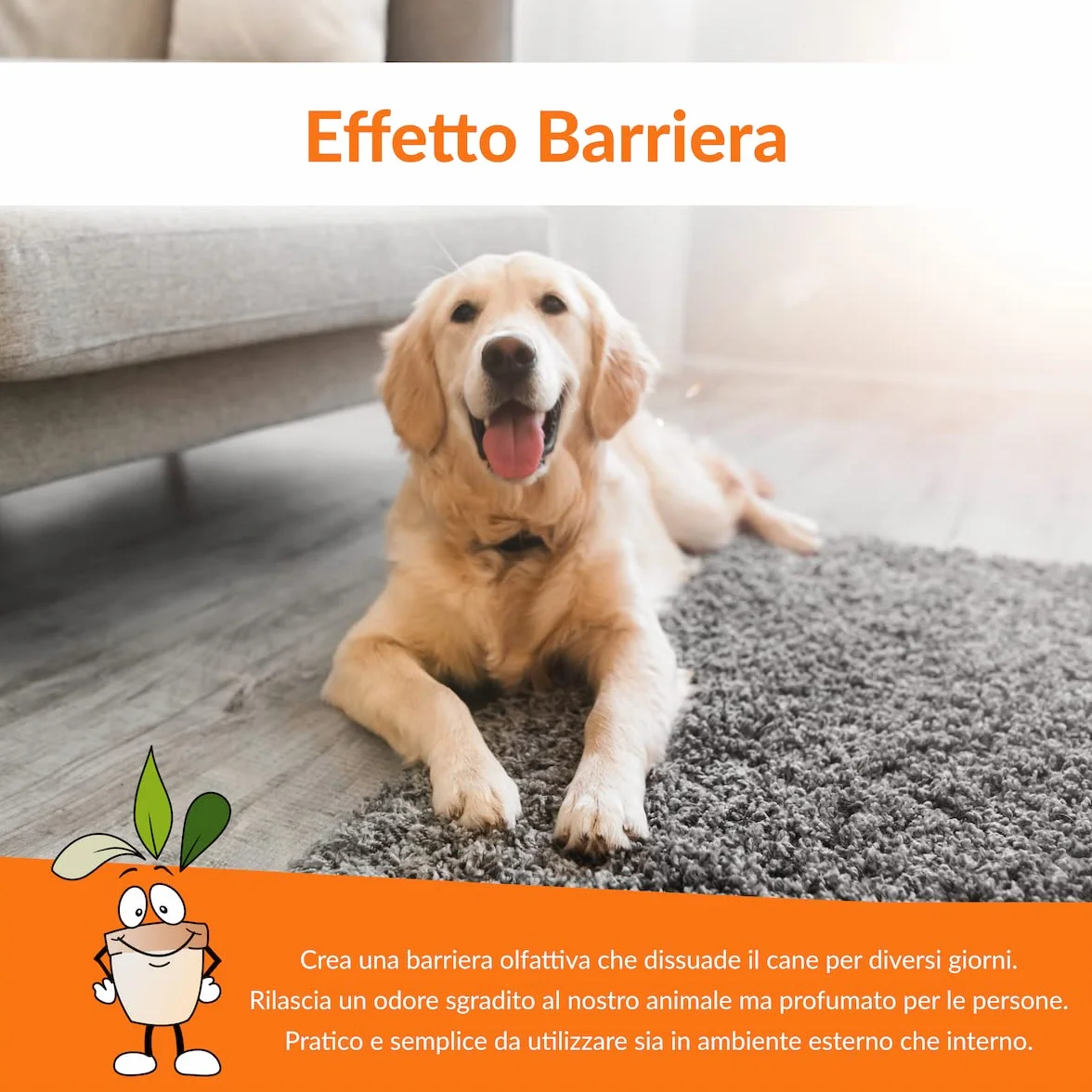 STOPPEE - Disabituante per Cani 750 ML - Spray Disabituante Vegetale a base di Agrumi - Dissuasore adatto per Interni ed Esterni - Repellente per Cani agisce in modo 100% Naturale