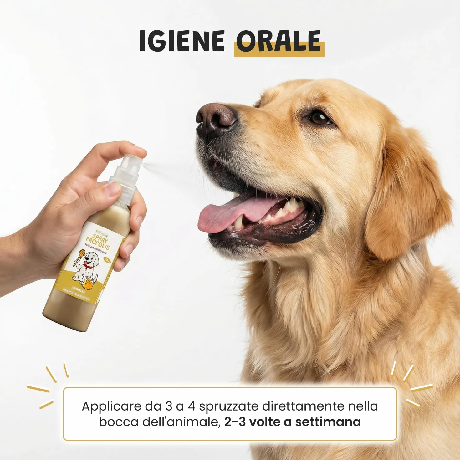Spray Propoli Pura 100ml per Cani e Gatti | Igiene Orale, Placca & Alito Cattivo | Antibatterico & Antifungino Naturale | Senza Alcool | 3-4 Spruzzi 2-3x Settimana | Museau & Co