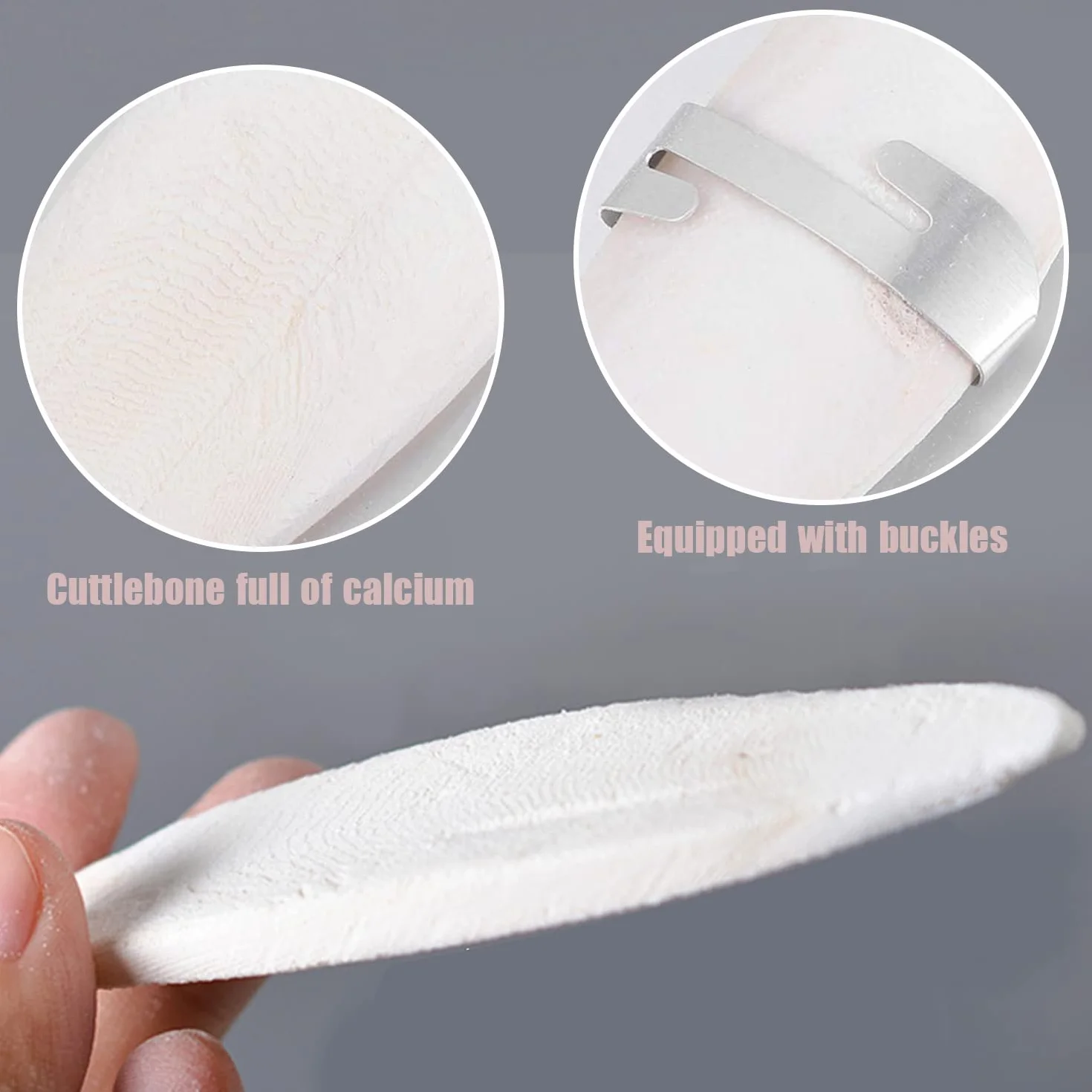 Osso di Seppia con Supporto 6 Pezzi 11-13cm per Uccelli