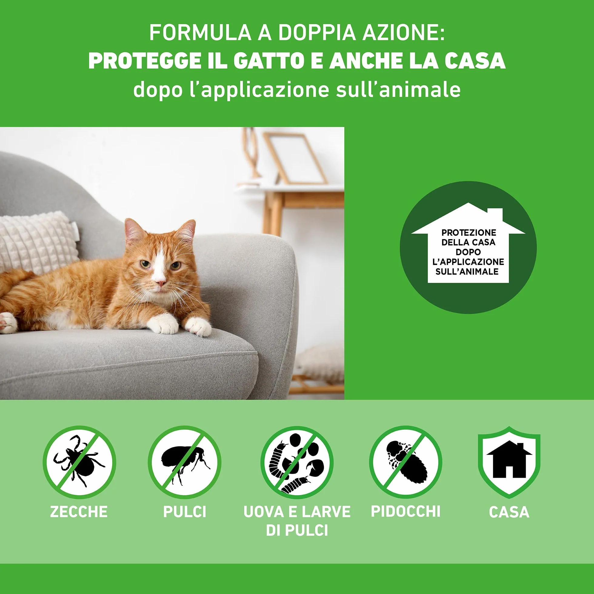 FRONTLINE Combo 6 Pipette Antiparassitario per Gatti Lunga Durata Protegge da Pulci Zecche Uova Larve 0.5 ml