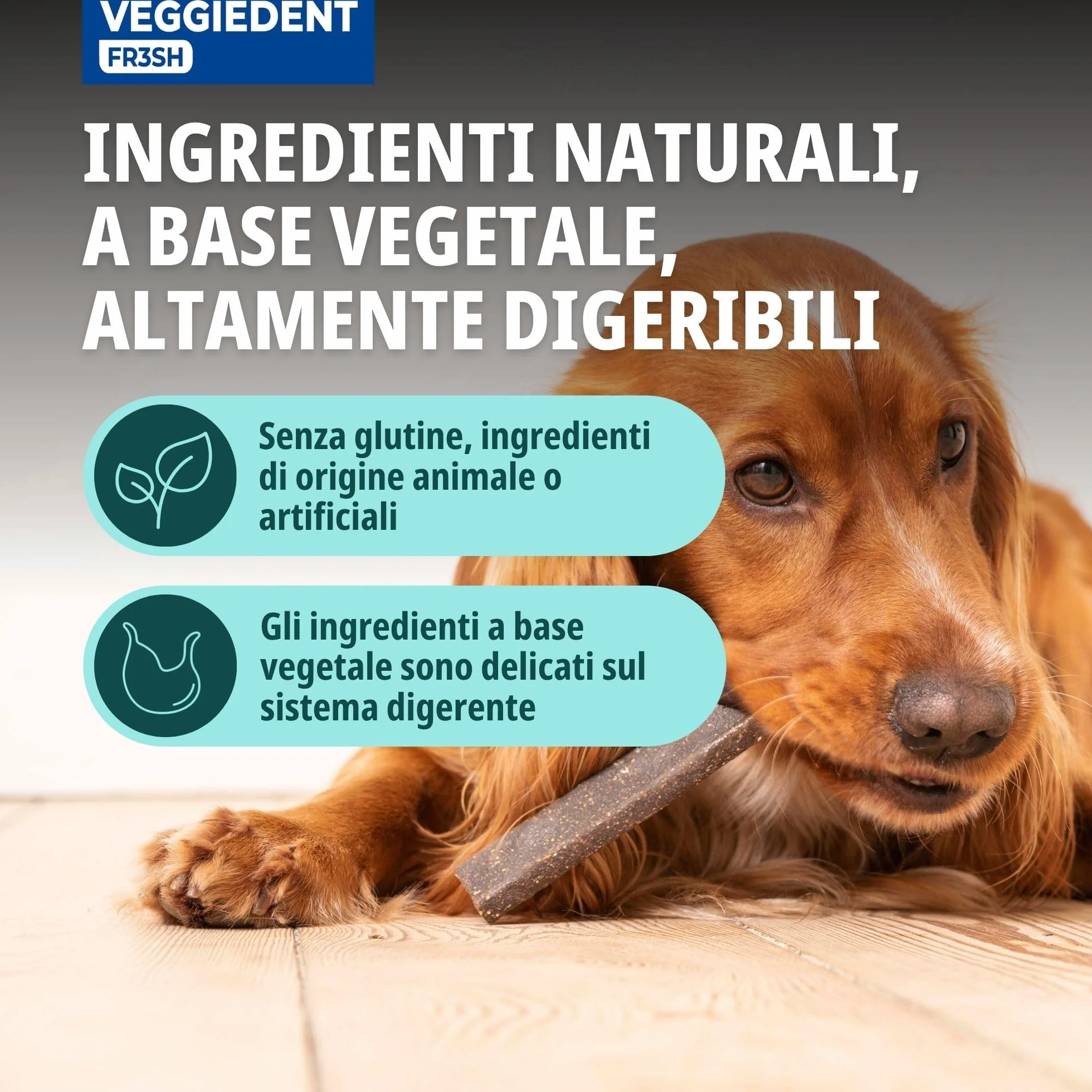 Virbac VeggieDent M - Strisce da masticare per cani di taglia media (da 10 a 30 kg), 3 x 15 strisce