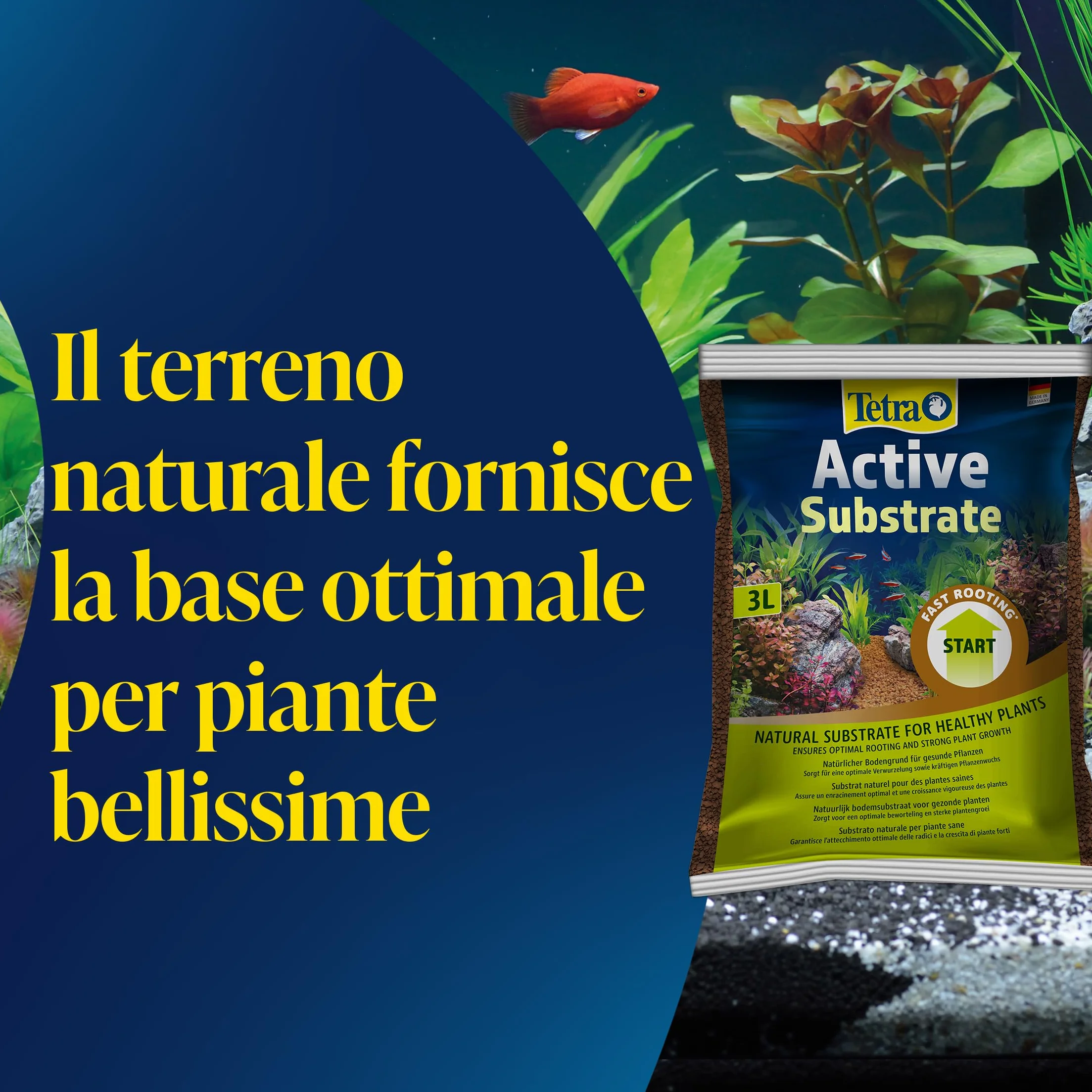 Tetra Active Substrate 6 L