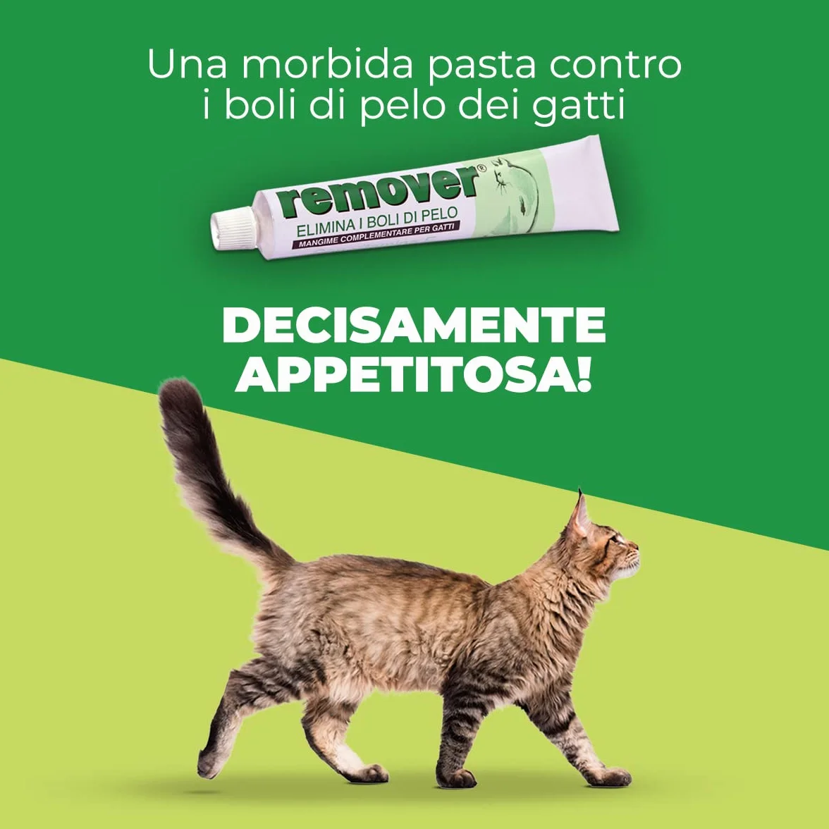 Remover Gatto - Mangime Complementare Per Gatti All'Aroma Di Pesce Per Rimuovere I Boli Di Pelo. Mangime Complementare Gatto Con Vitamina E. 1 Tubetto da 50 grammi