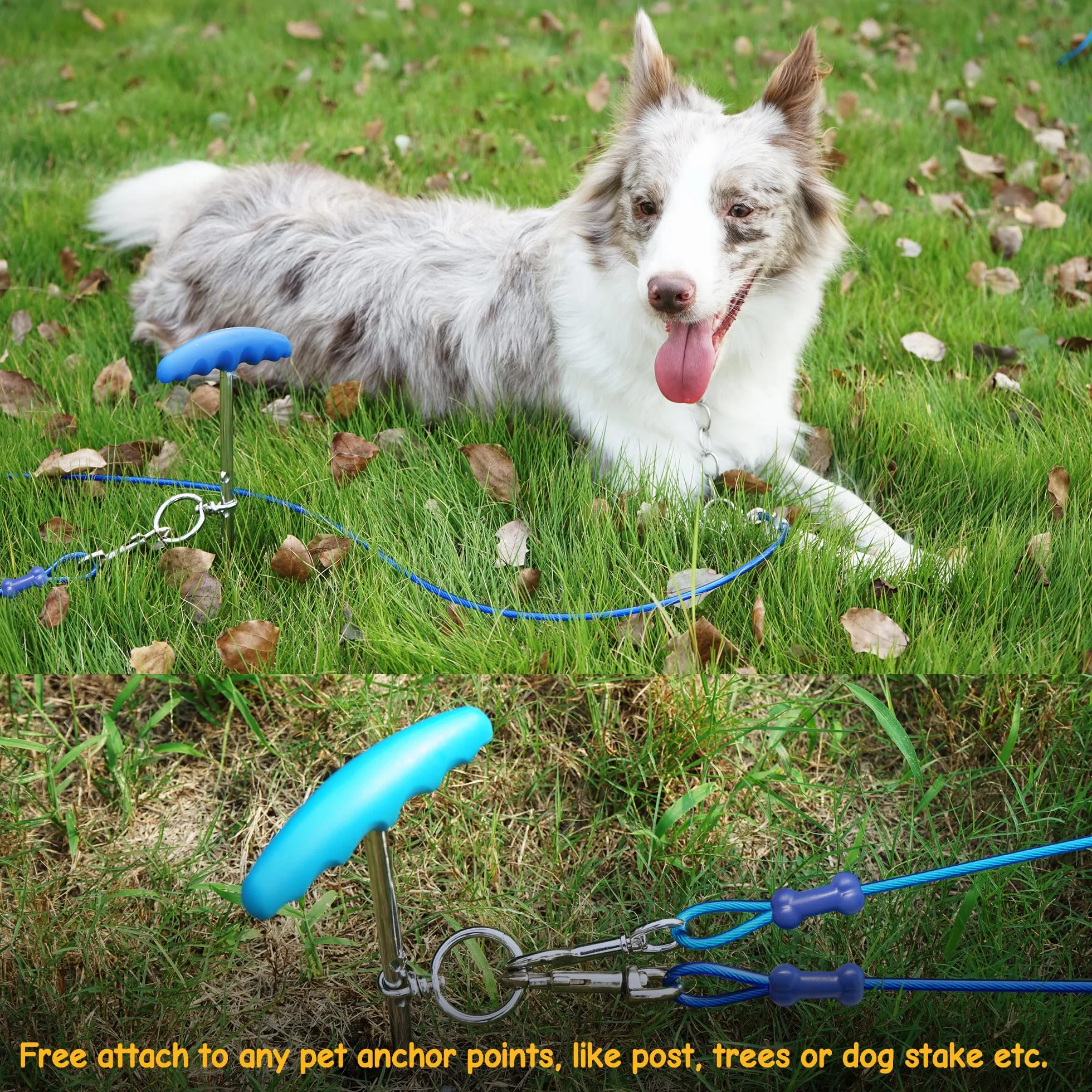 Petphabt - Cavo resistente per cani da 3 m, per cani di grandi dimensioni, giardino, giardino, parco animali domestici, cavo blu 56,7 kg