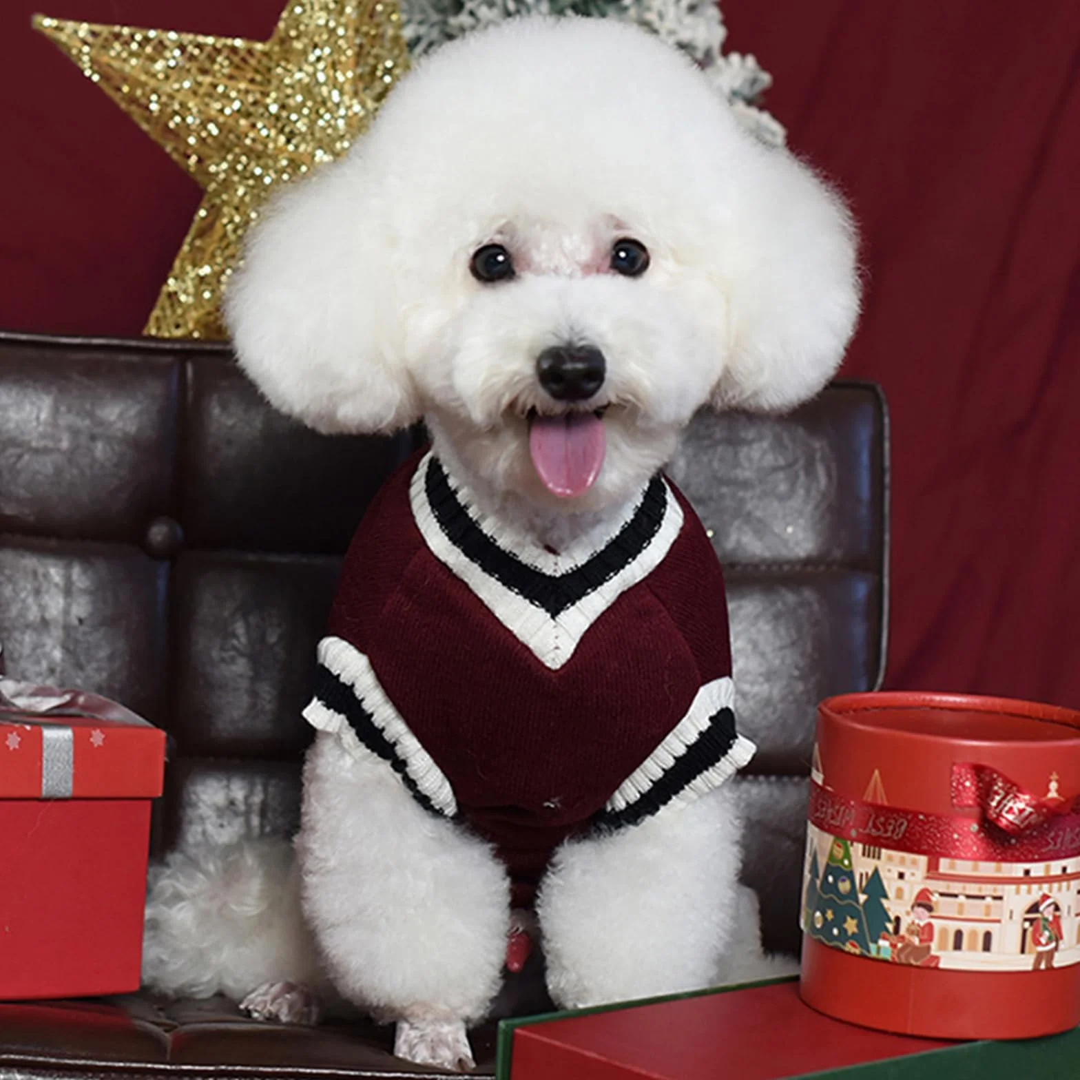 Maglione Cane Taglia Piccola Inverno, Cappottino Caldo con Interno in Pile per Cani, Verde e Rosso, M