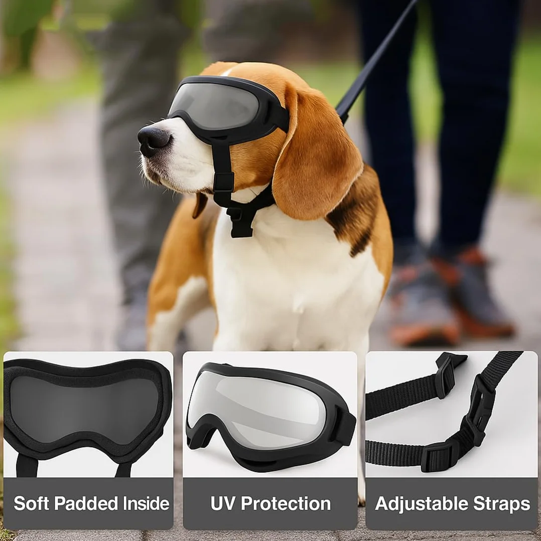 Occhiali da Sole per Cani, Protezione UV, Occhiali Cane, Occhiali Moto cane, Adatti per Cani di Piccola Taglia