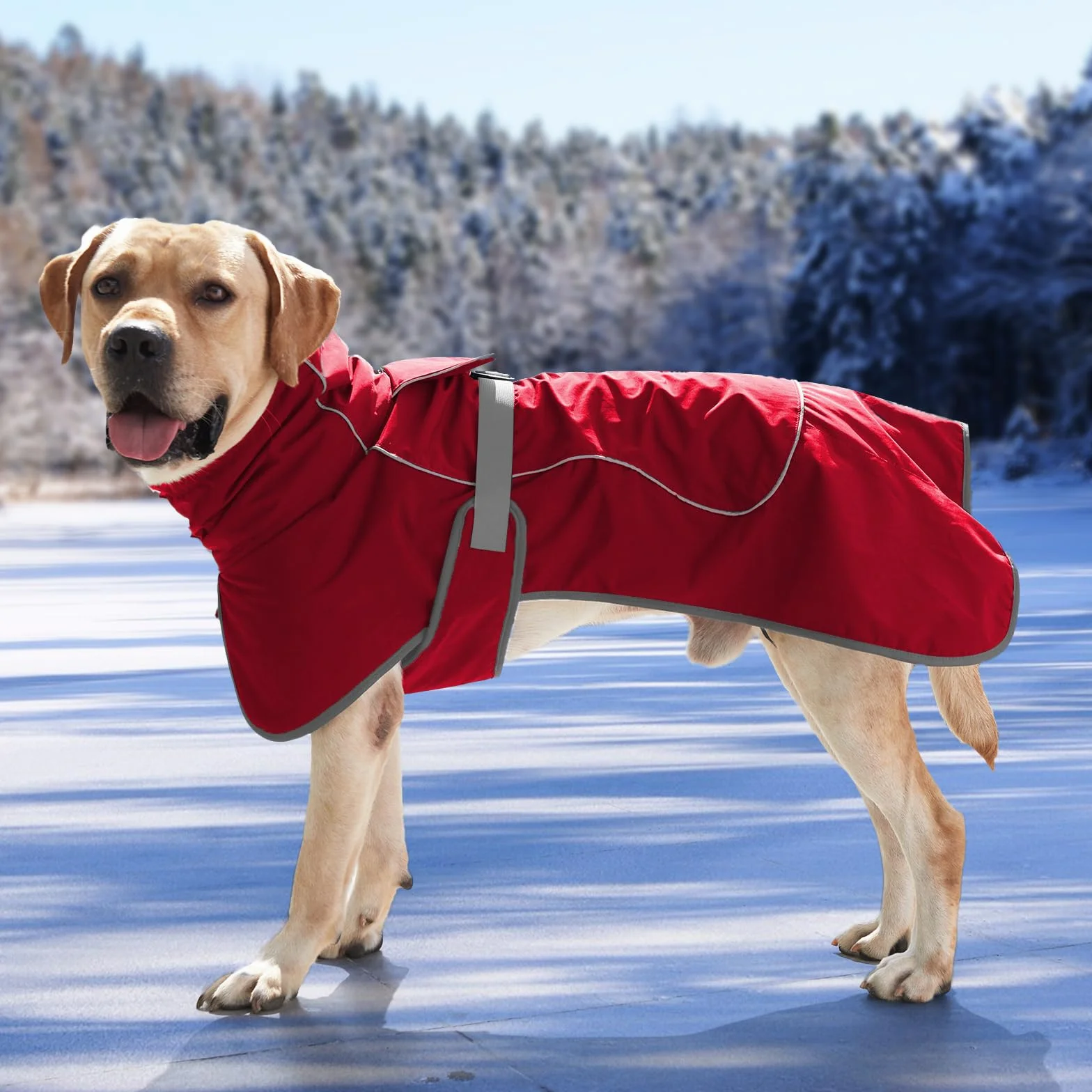 HEYWEAN Giacca impermeabile per cani con fodera in pile riflettente caldo per freddo escursionismo campeggio