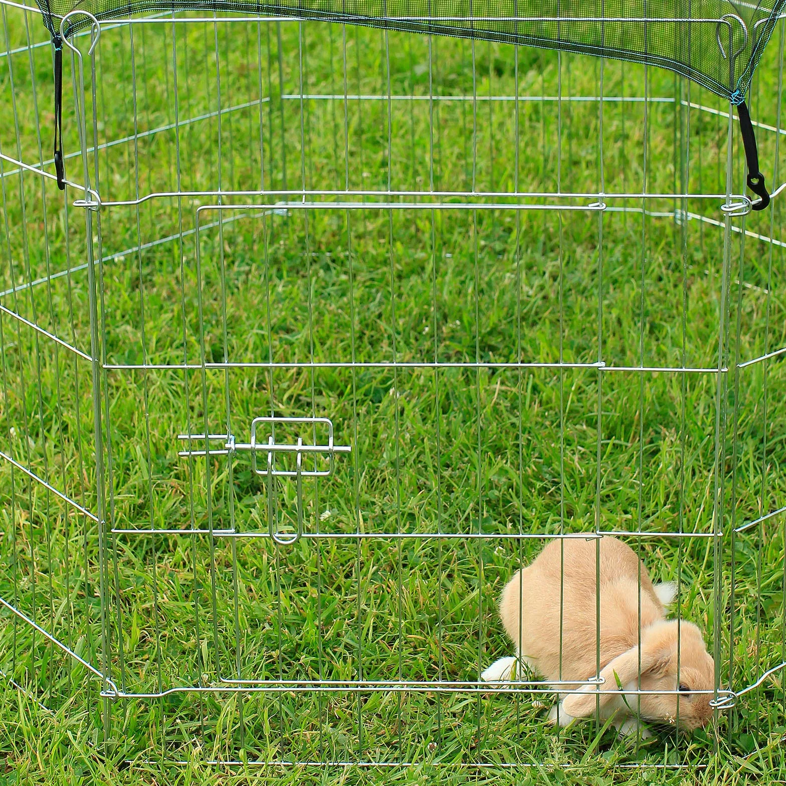lionto Recinto per Cani Gatti Cuccioli Gabbia per Animali Piccola Taglia 59x78 cm