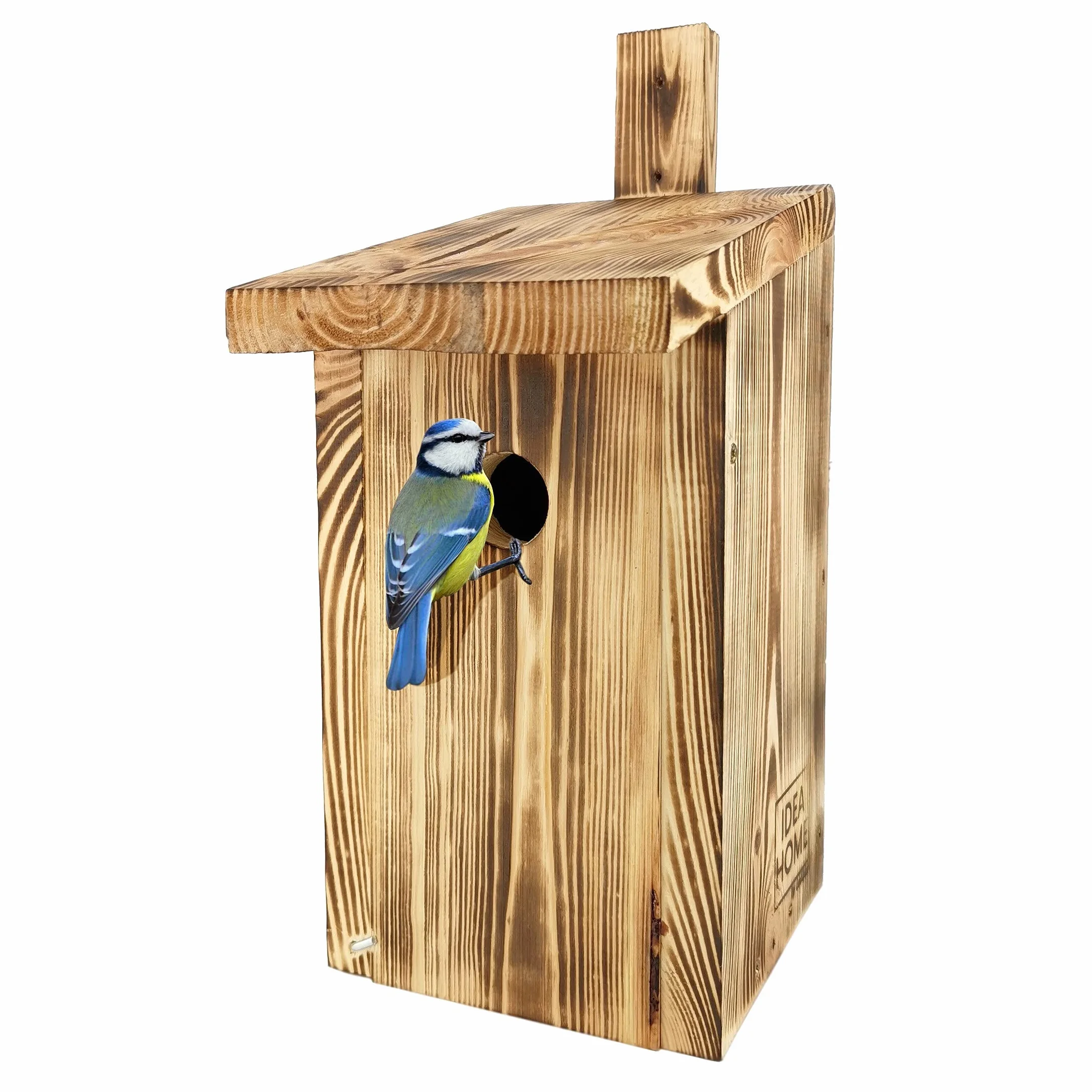 LEVIATAN PARIDAE Nidi Naturali per Cinciallegra Foro 33 mm Legno Massello Casette Uccelli Resistenti Intemperie
