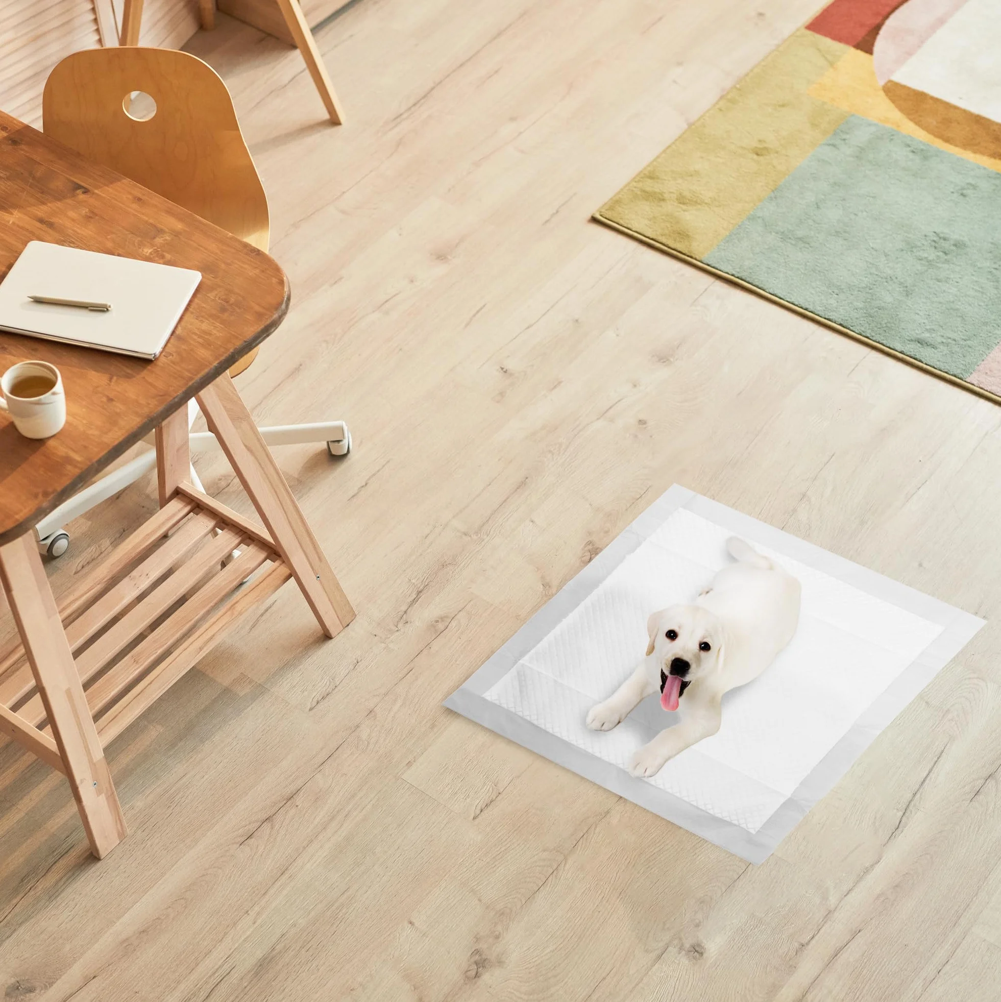 R MOVE 100 Traversine Cani 60x60 con Adesivi - Tappetini Igienici Assorbenti per Cani, Traverse Cane EXTRA Assorbenti