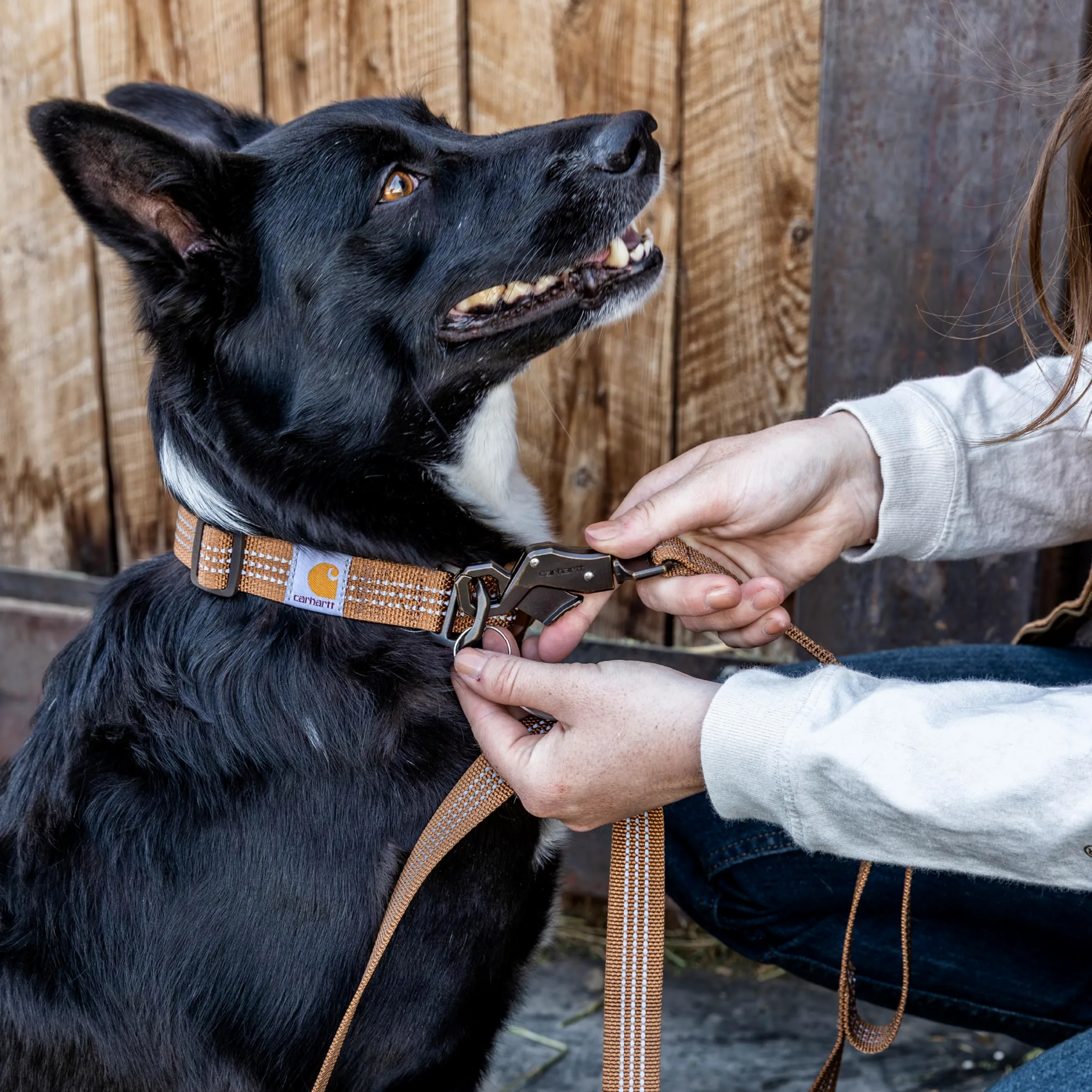 Carhartt Guinzaglio per cani a doppia maniglia, tessuto resistente 600 denari con hardware regolabile in metallo con anello a D, color vino profondo, grande