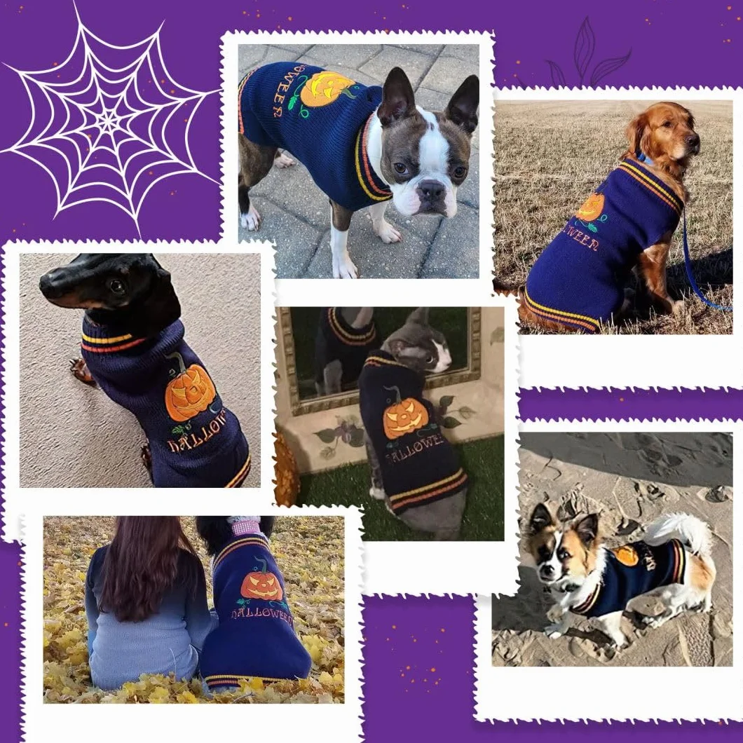Costume Zucca Caldi Vestito Halloween per Cane Gatto Maglione Blu XS