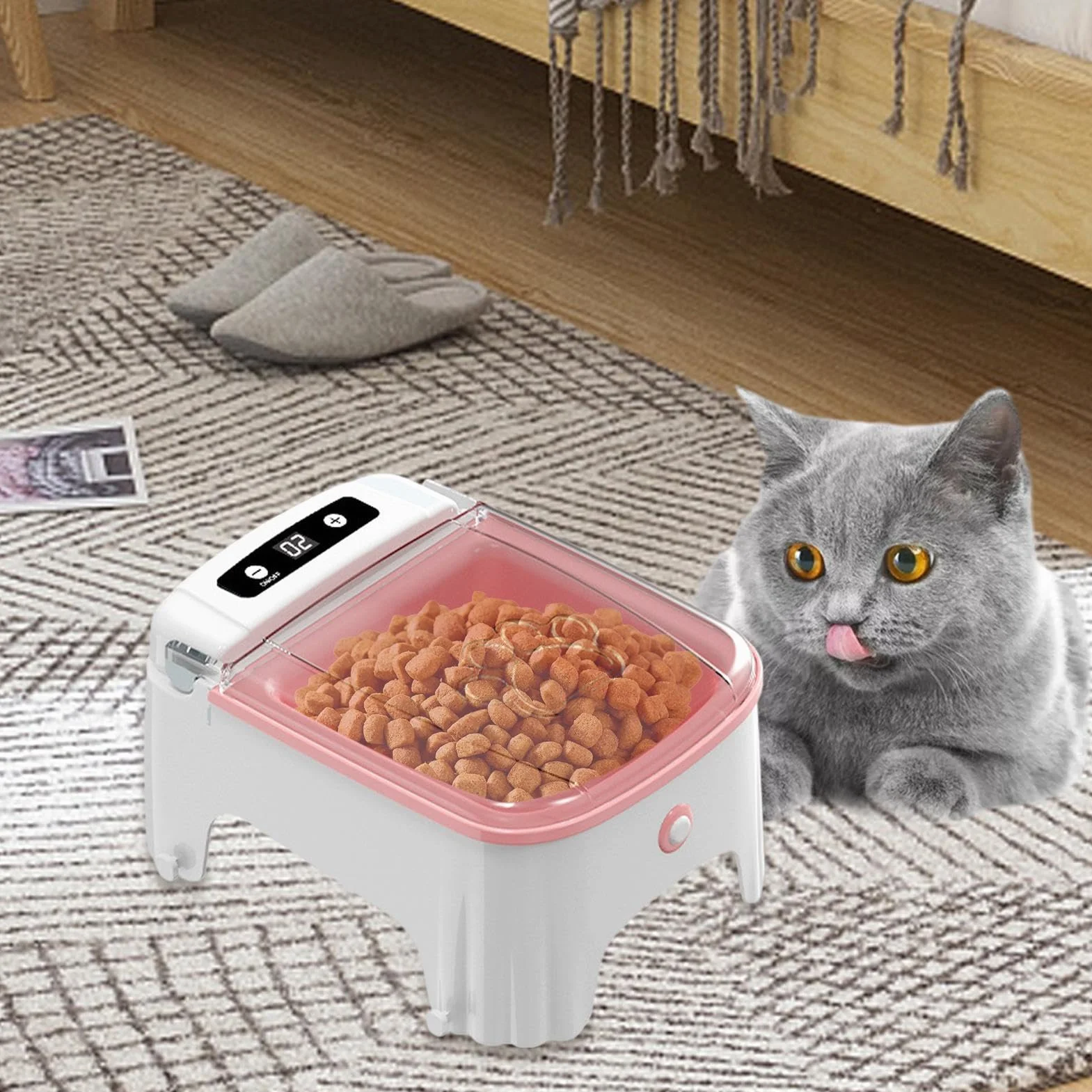 Distributore Automatico Cibo per Felini Elettrica Cibo Secco | Funzionamento Automatico Mangiatoia Elettrica Umido Secco Per Gatti Cuccioli Indoor