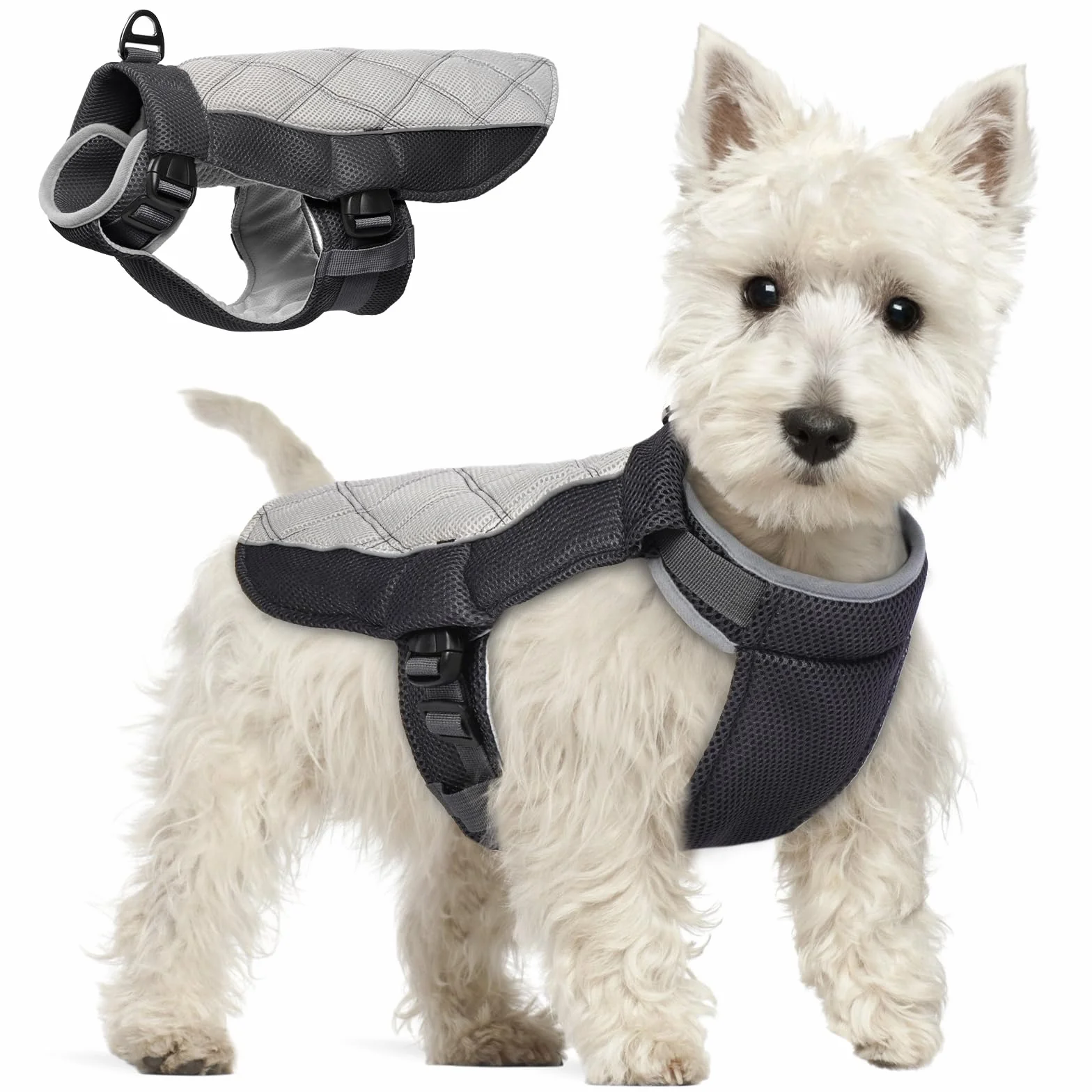 Giubbotto Refrigerante Cane Traspirante Gilet Rinfrescante con Pettorina Grigio Antracite M
