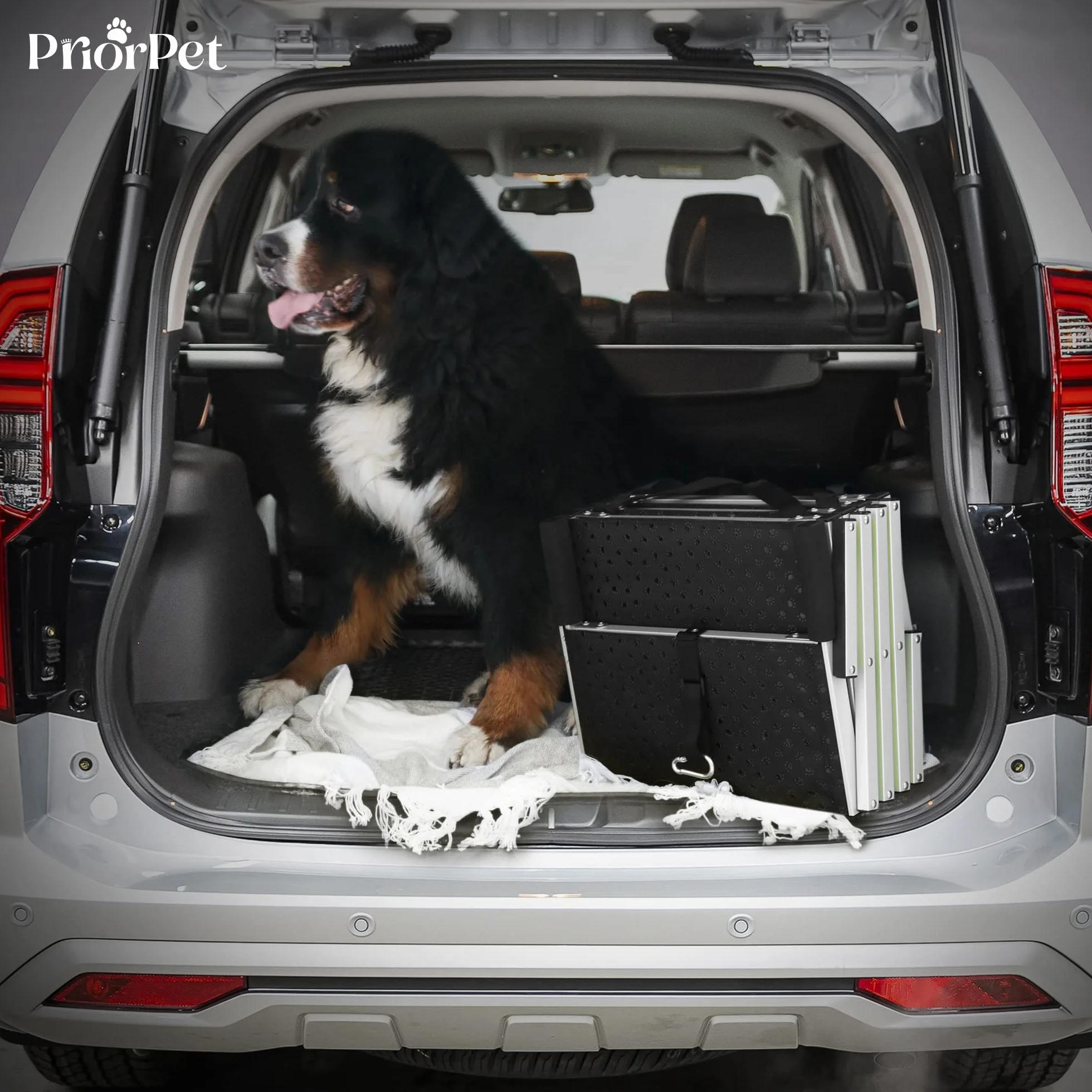 PRIORPET Rampa per Cani Pieghevole 4 Gradini Antiscivolo Riflettente 77 kg