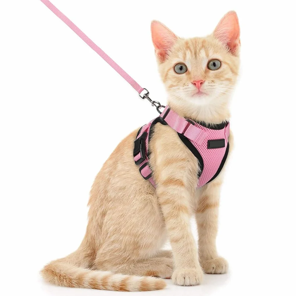 Voarge Pettorina Regolabile per Gatti con Cinghia da 150 cm - Sicurezza per Gatti di Piccola, Media e Grande Taglia, Adulti e Cuccioli - Harness per Passeggiate e Viaggi (XS)